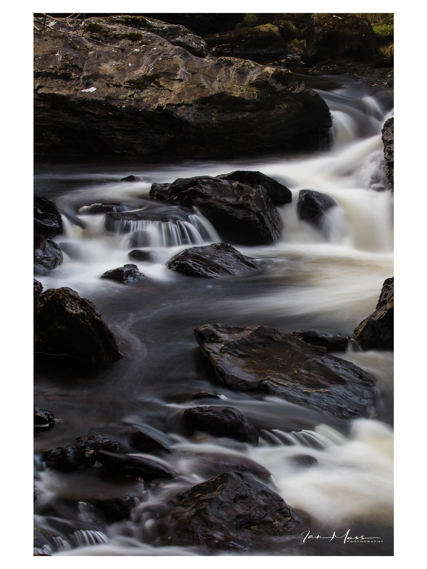 Below the Falls - Portrait