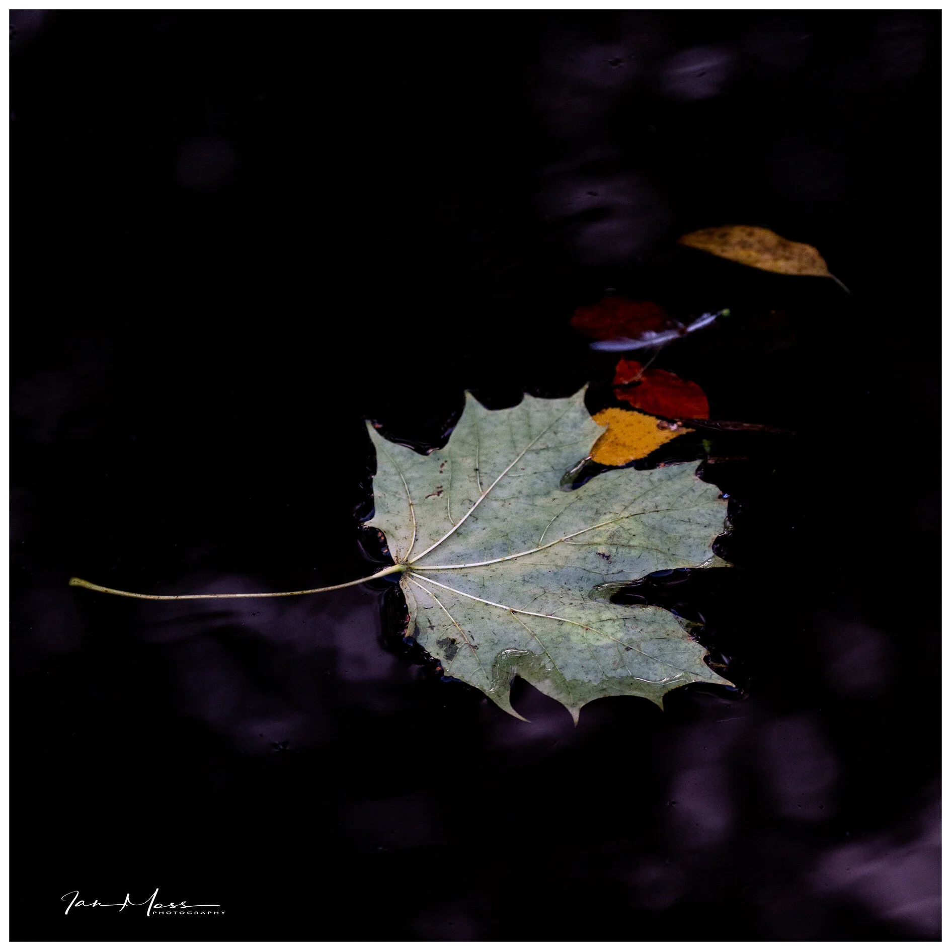 29102019 - Brum Canals-04.jpg