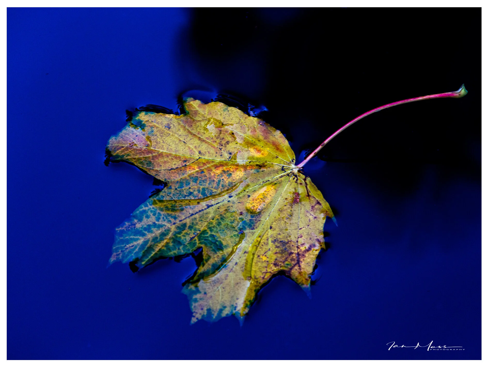 29102019 - Brum Canals-13.jpg