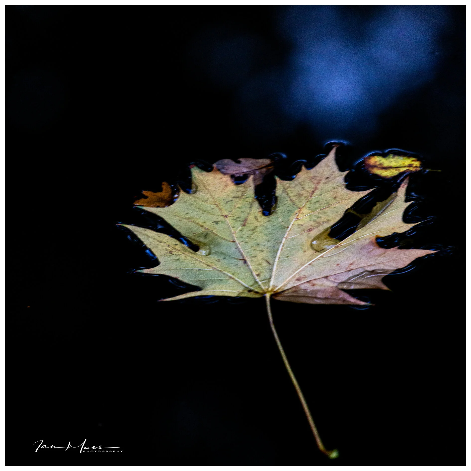 30102019 - Brum Canals-17.jpg