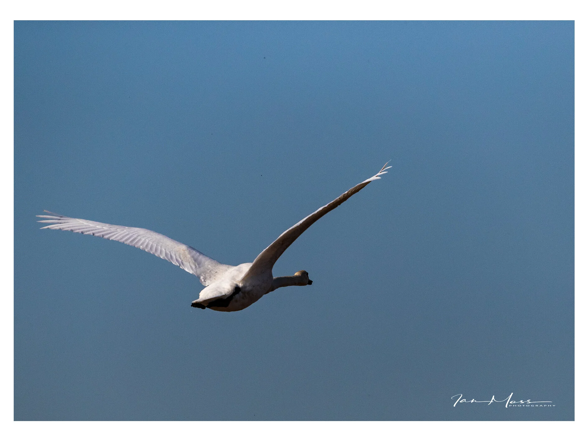 26022019 - Langford Lowfields-3.jpg