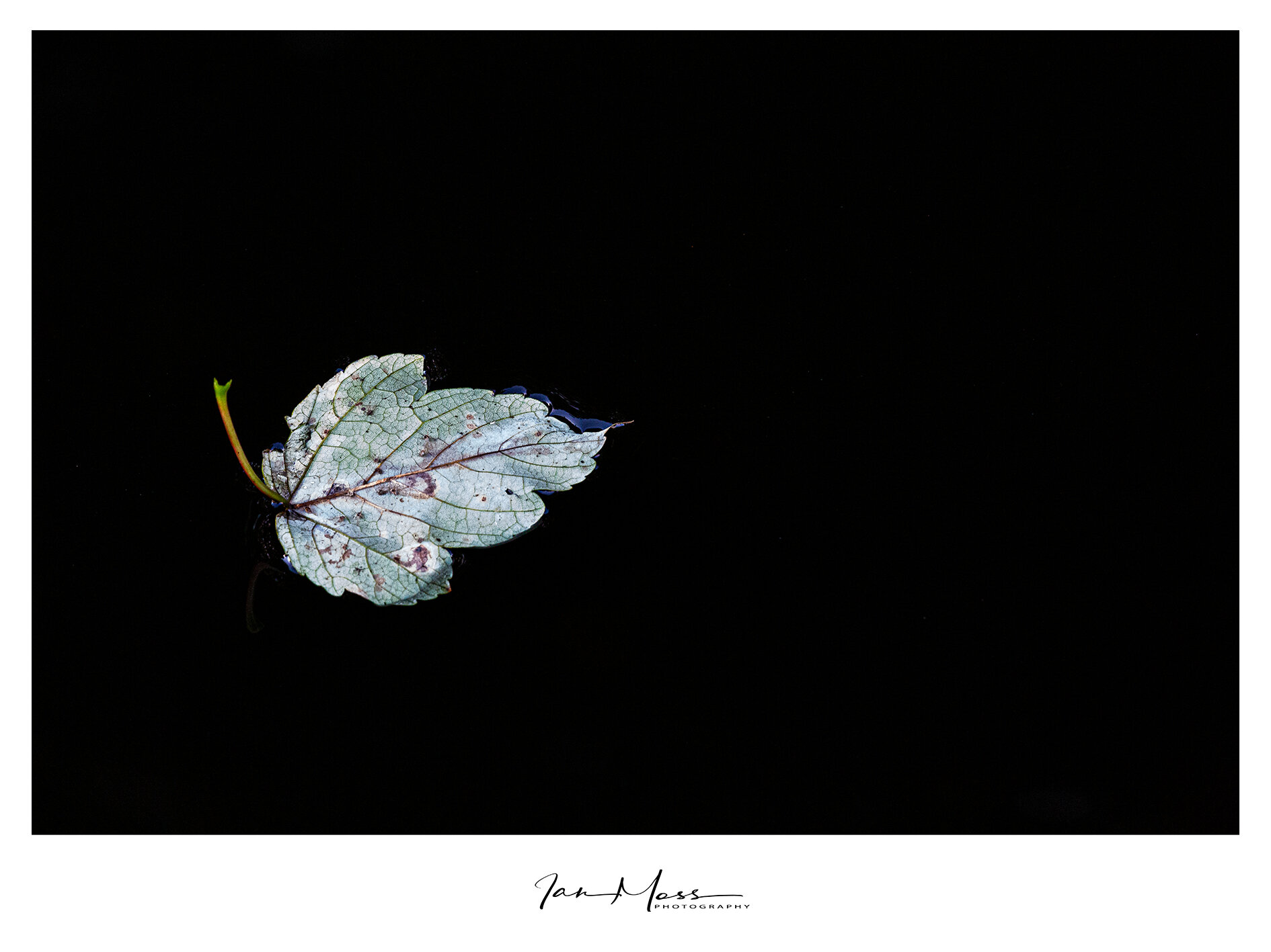 12092019 - Brum Canals-01.jpg