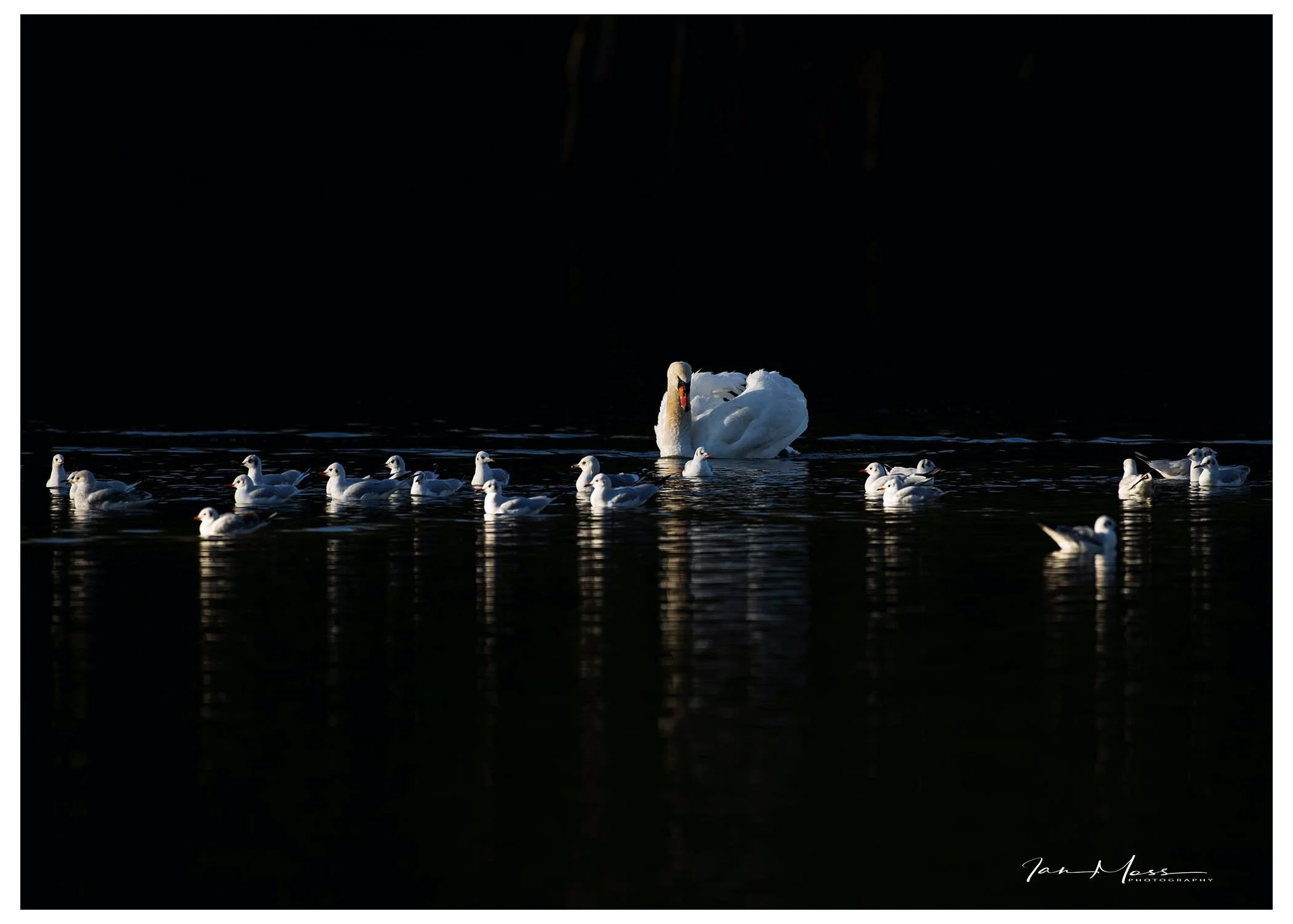 Hey Guys... What's Up?... Why are you all going?