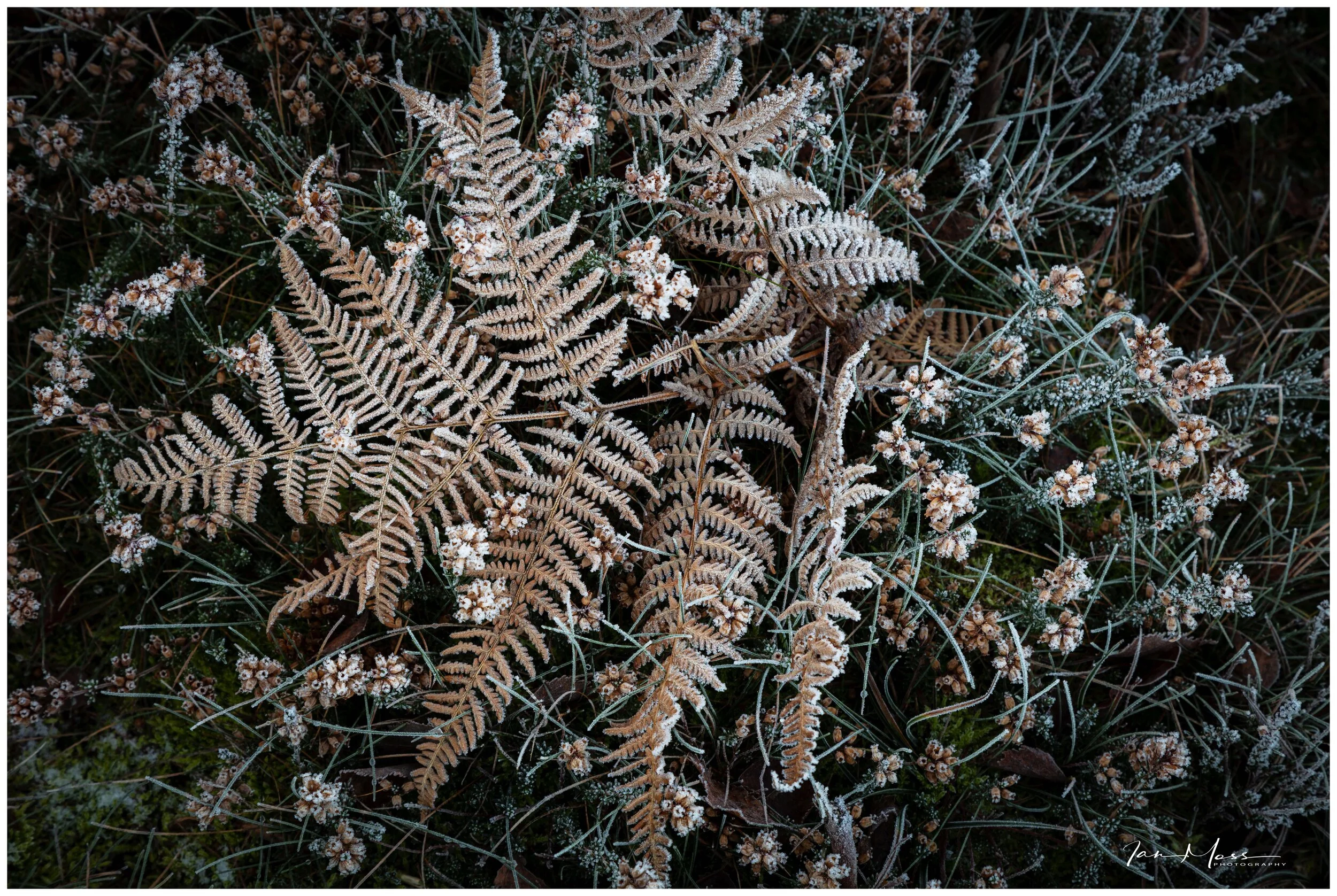 The Chill of Transition