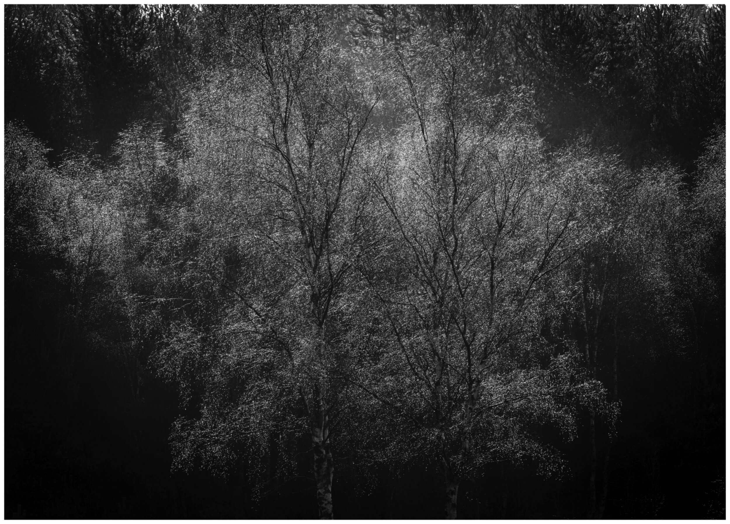 F..f..f..f...Frozen!