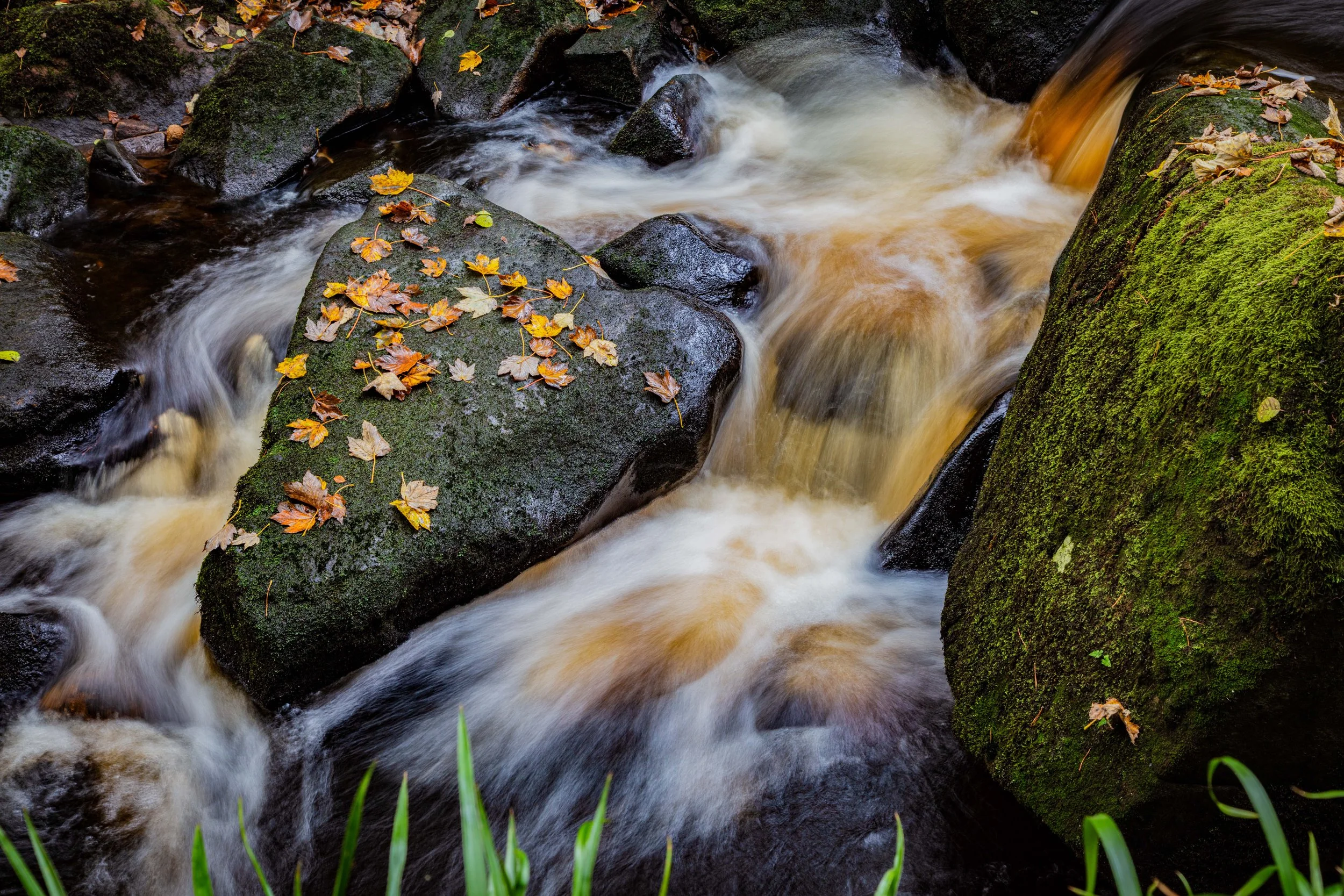 Island in the tumult