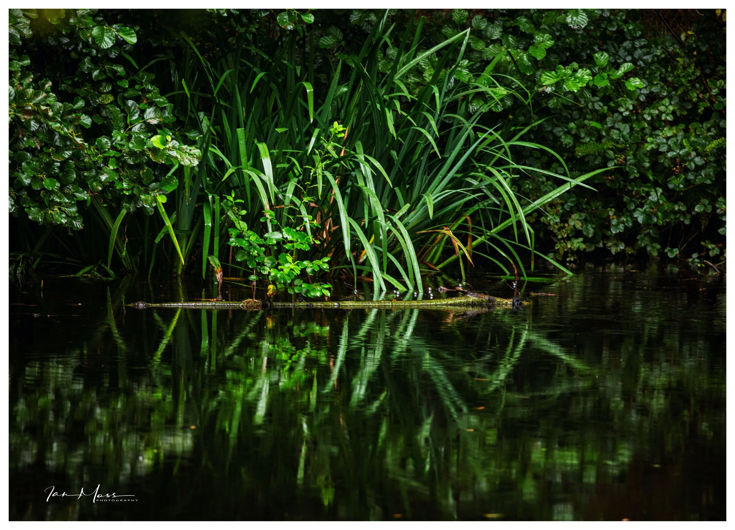 Fifty Shades of Gr.....een