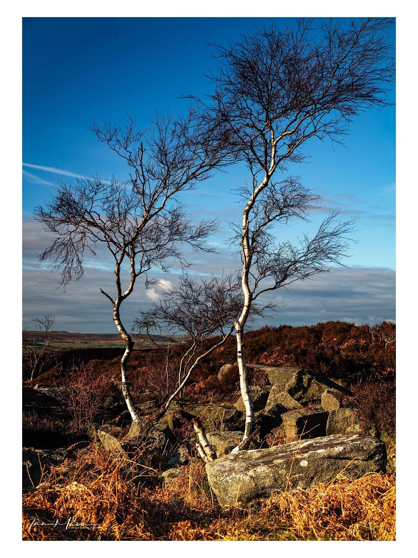 Clinging on for dear life