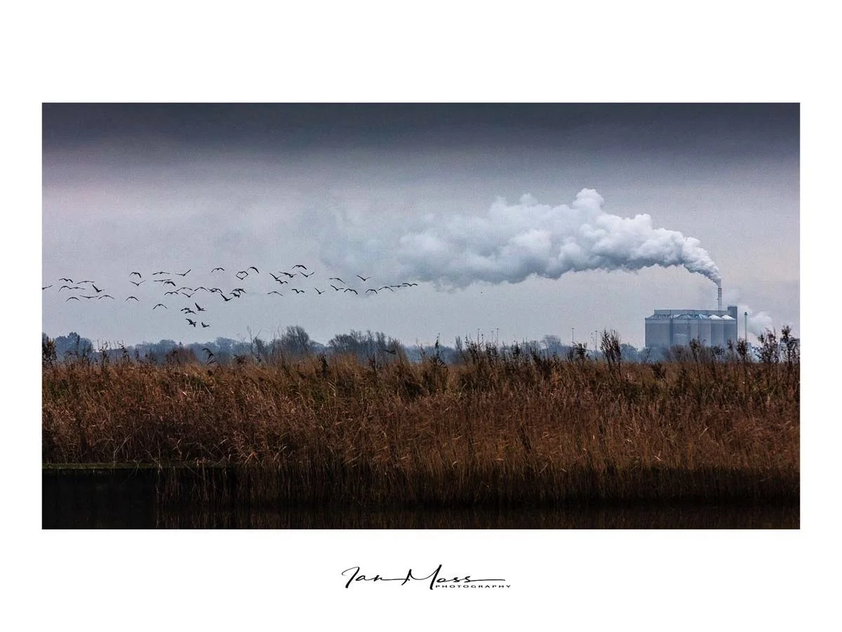 Fleeing the onslaught