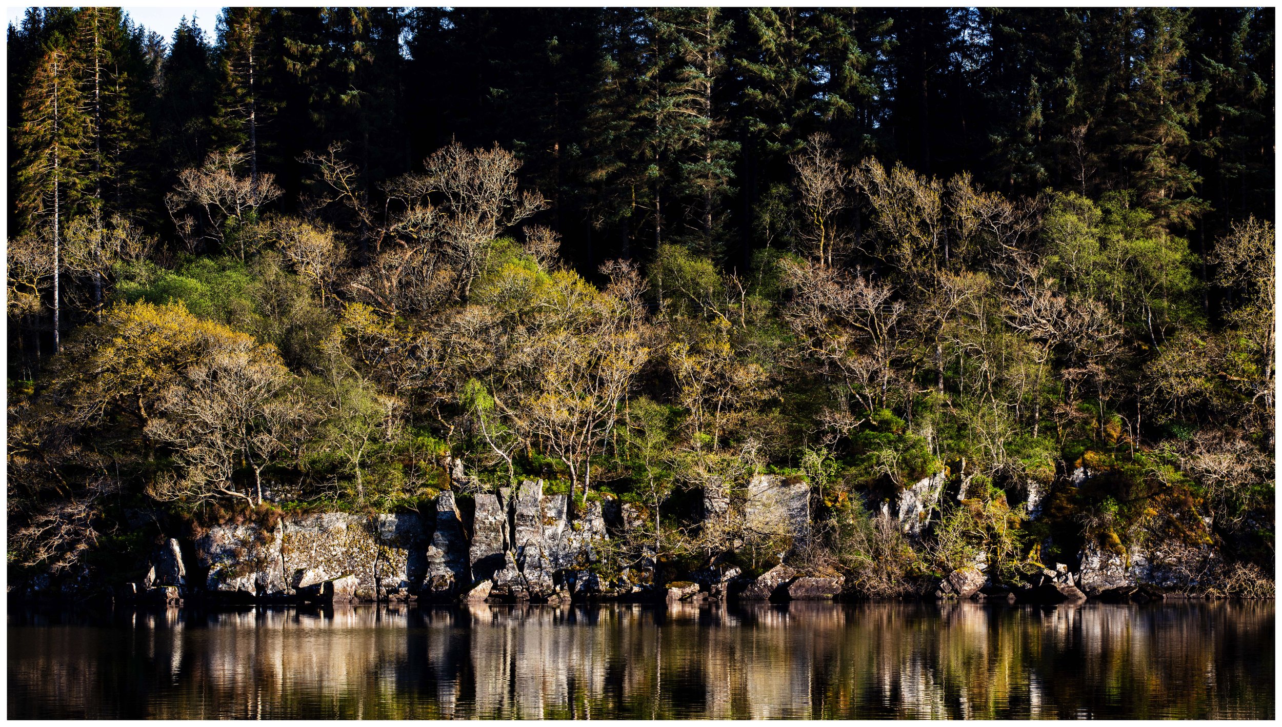 Every Nook and Cranny