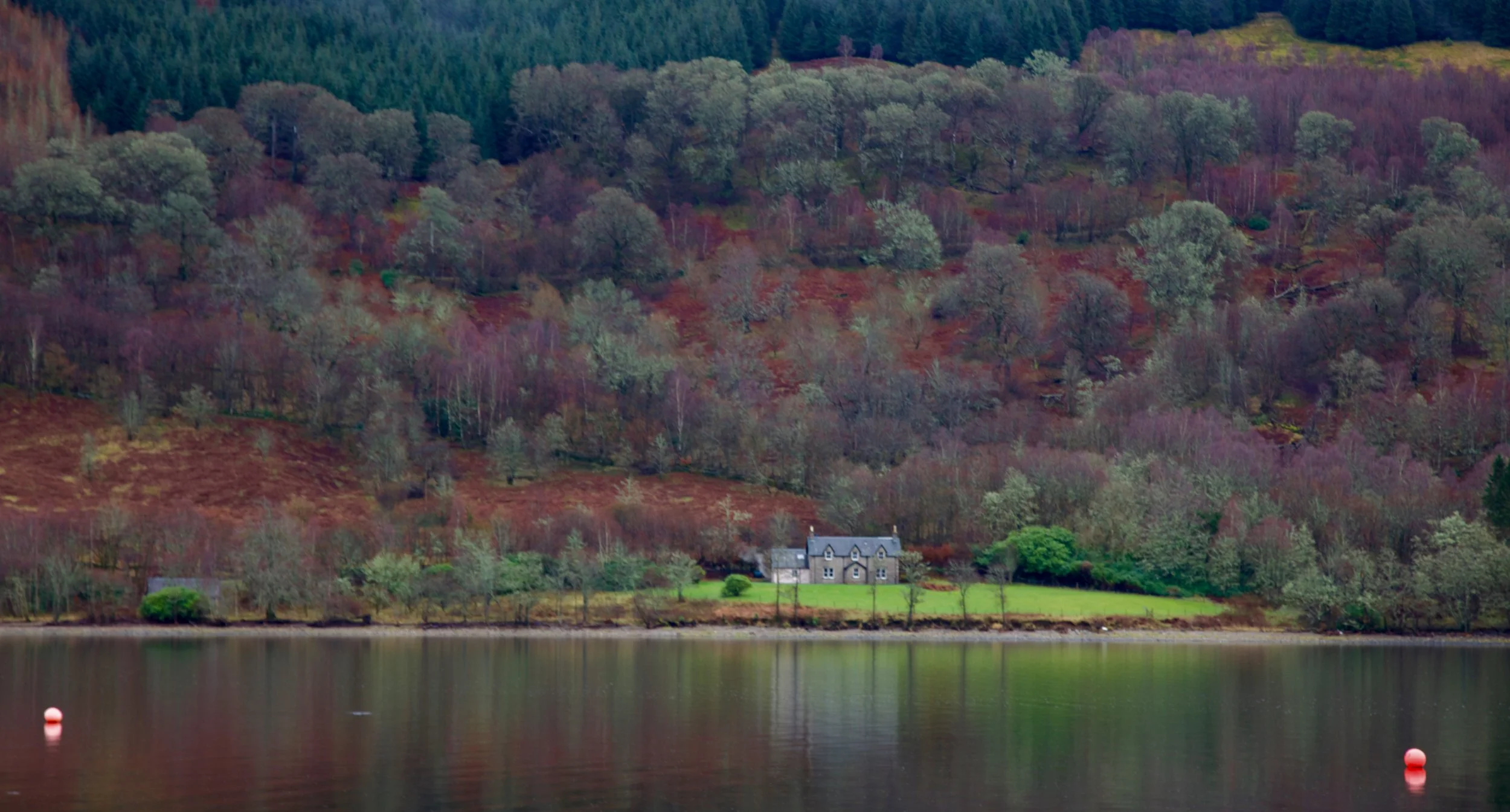 Loch Fyne - Autumn's First Blush
