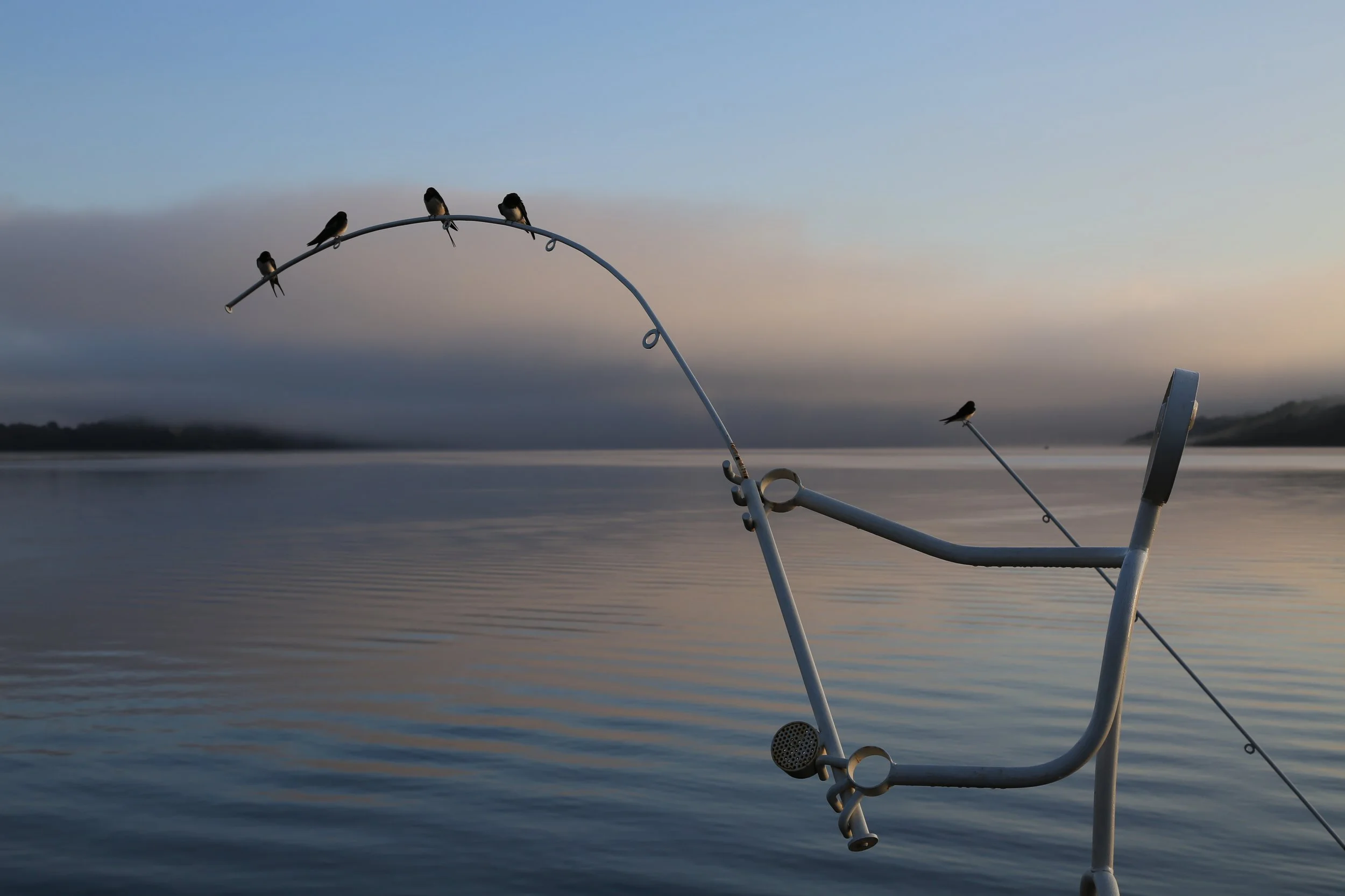 Duck Bay - Lift Off in 5, 4, 3,......