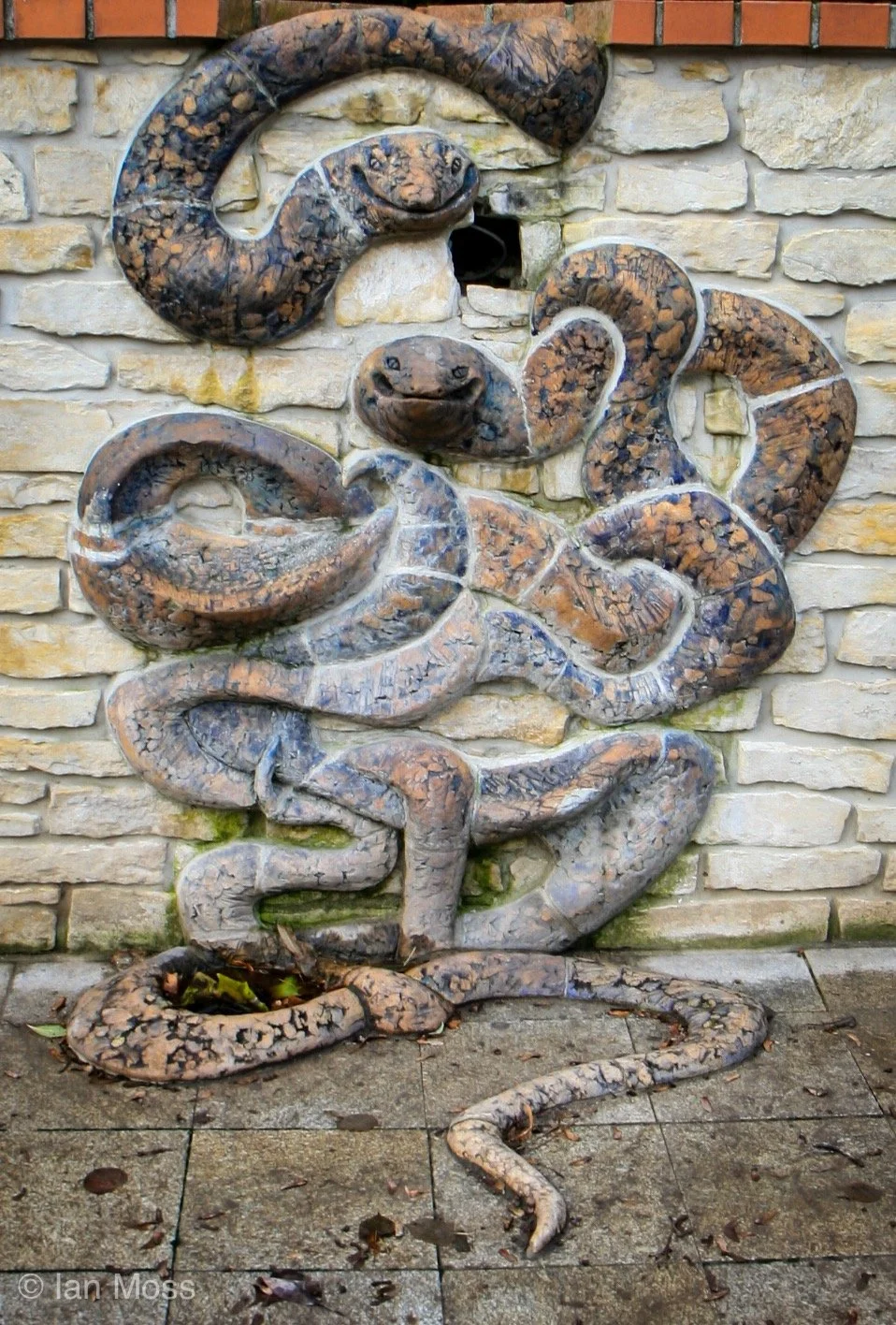 Prague Drinking Fountain - would you?
