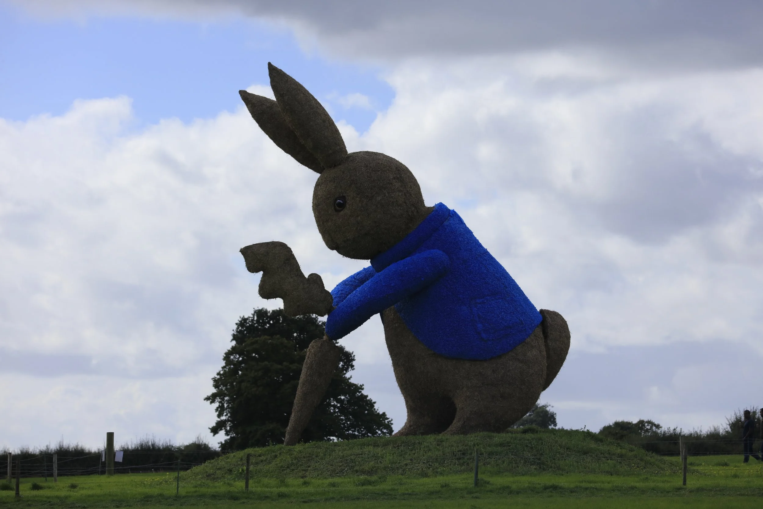 Giant Rabbit
