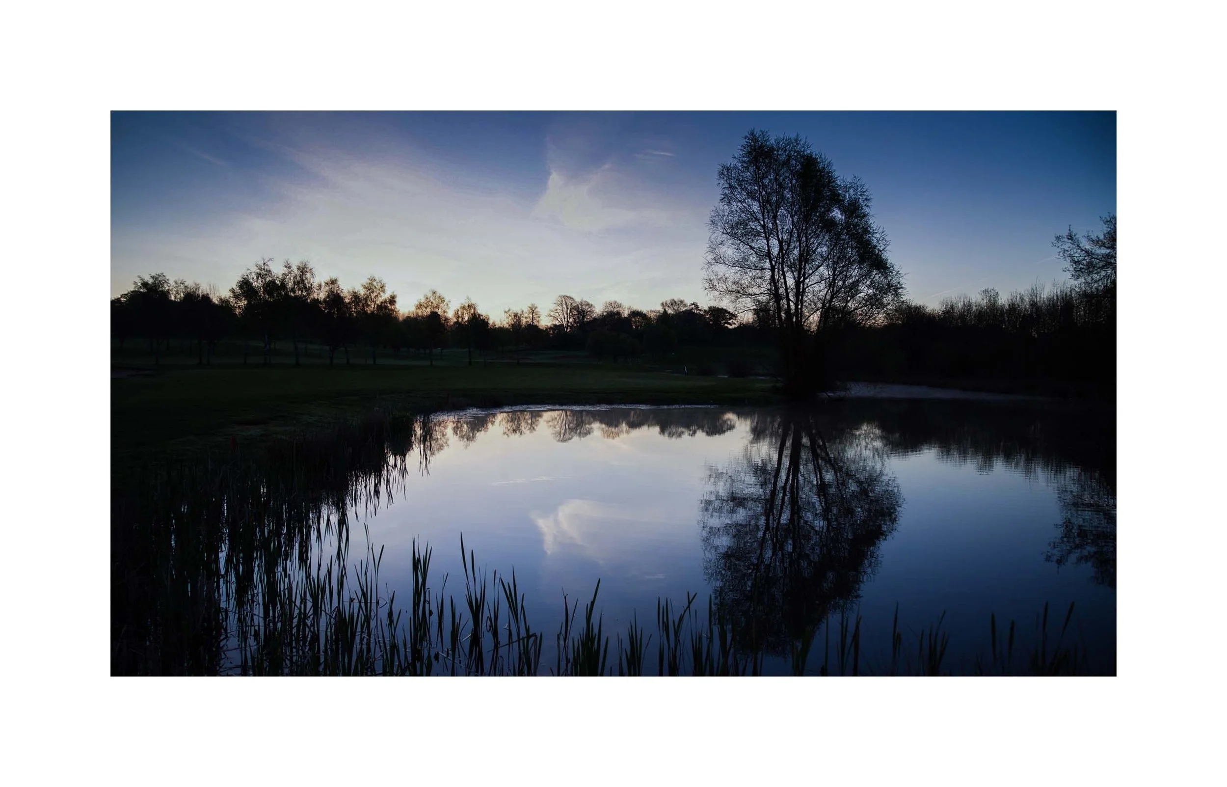 Pond reflection