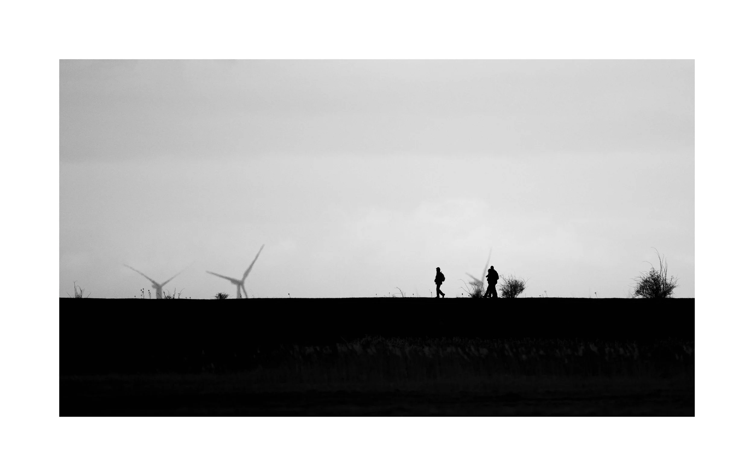 Windmills of My Mind