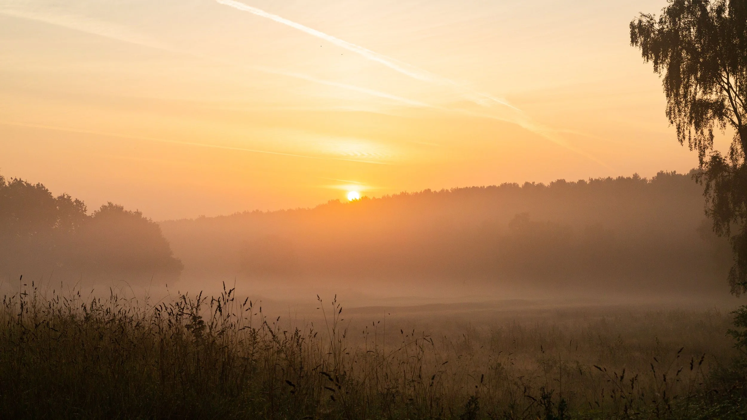 SFGC - Sunrise at the 7th