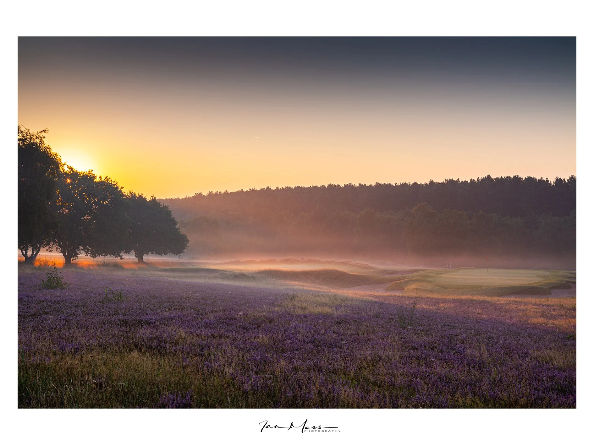 SFGC - Purple Heather - 7th