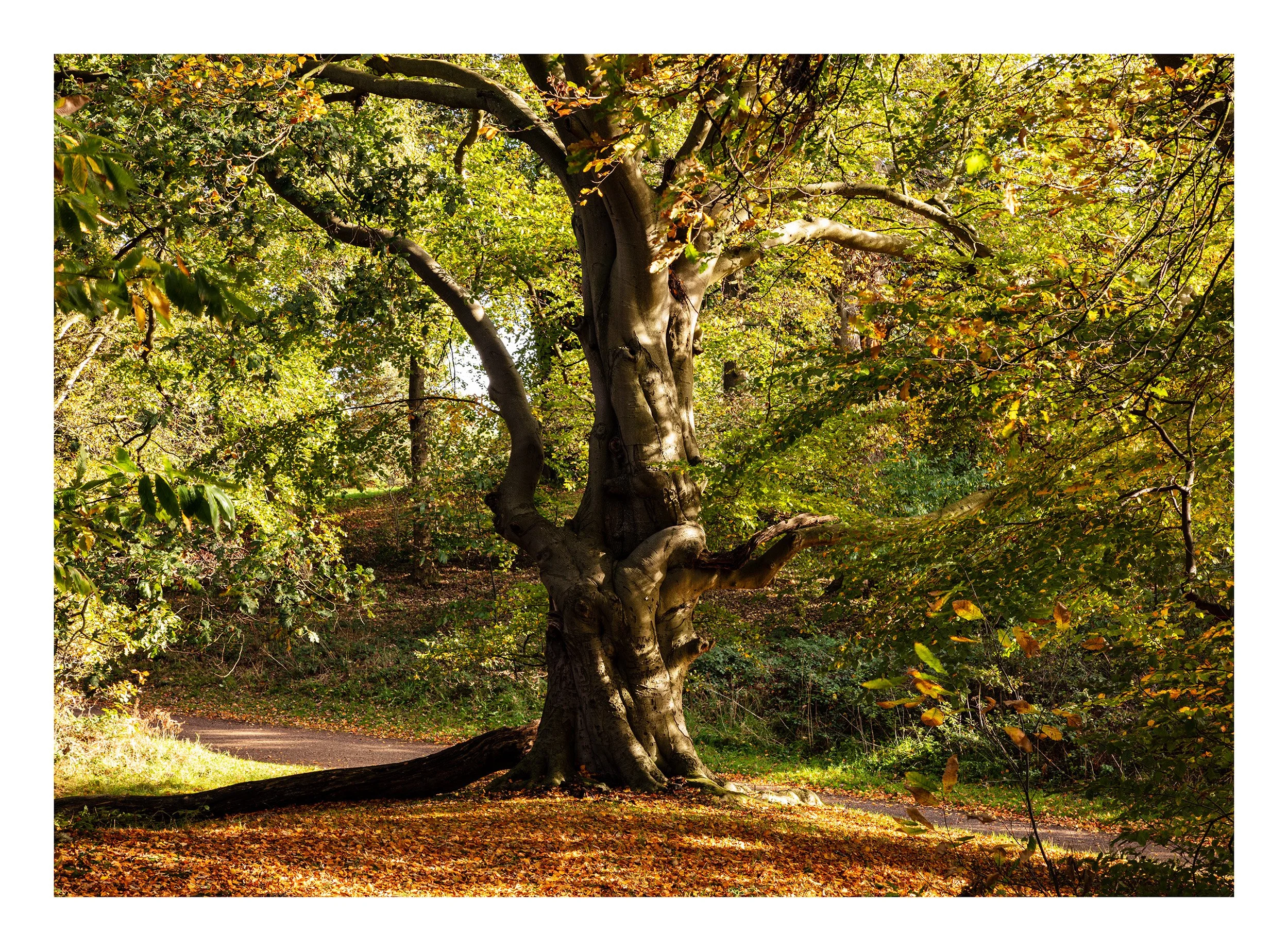 20221028_Clumber Park_163.jpg