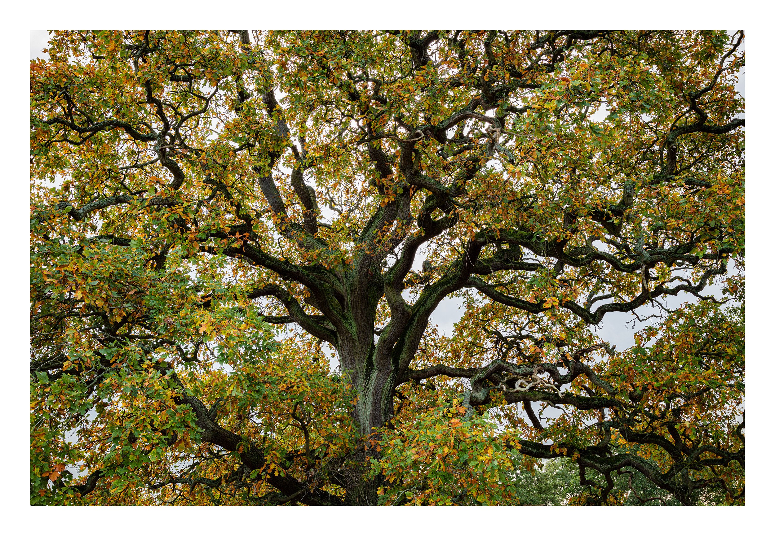 20221028_Clumber Park_26.jpg