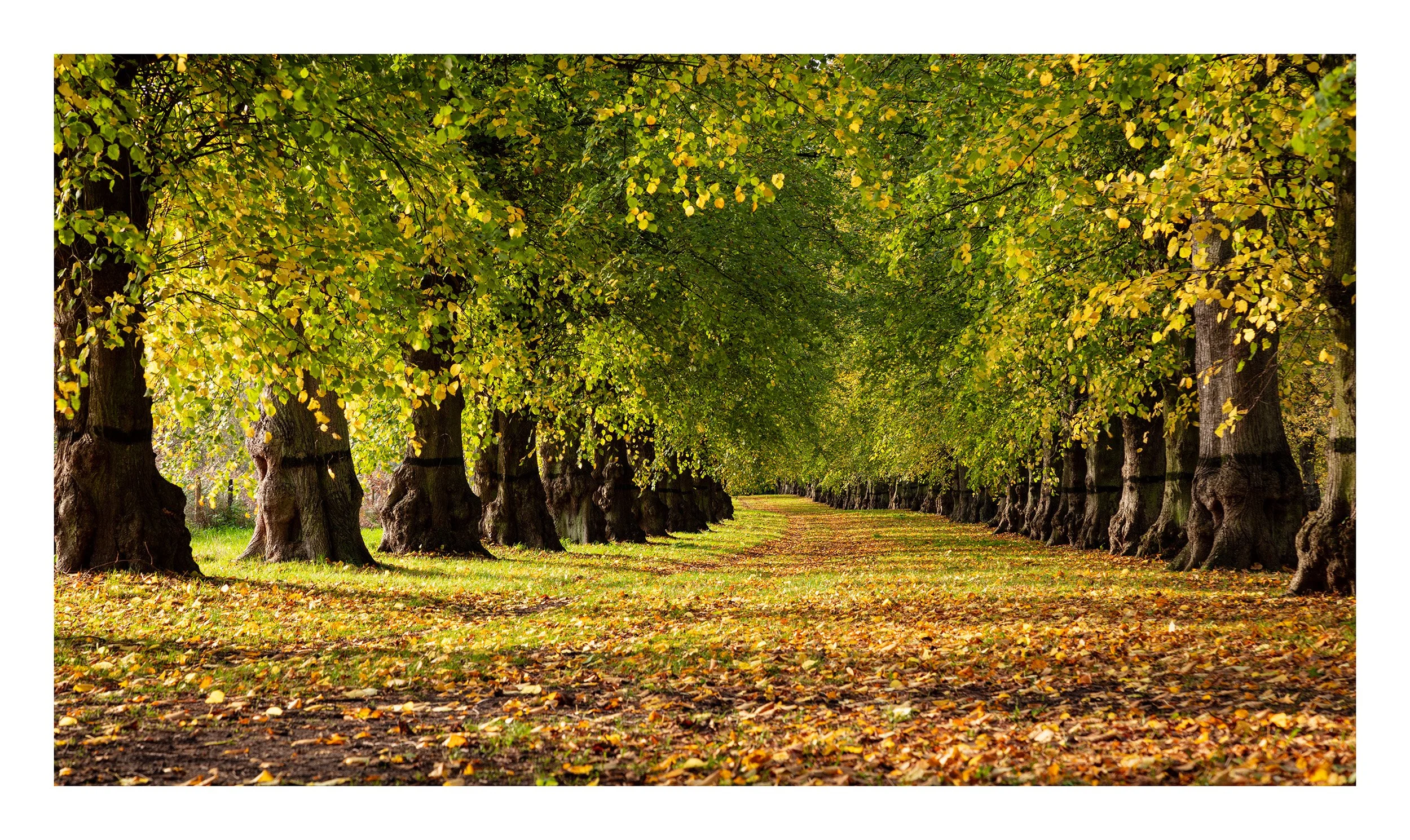 20221028_Clumber Park_20.jpg