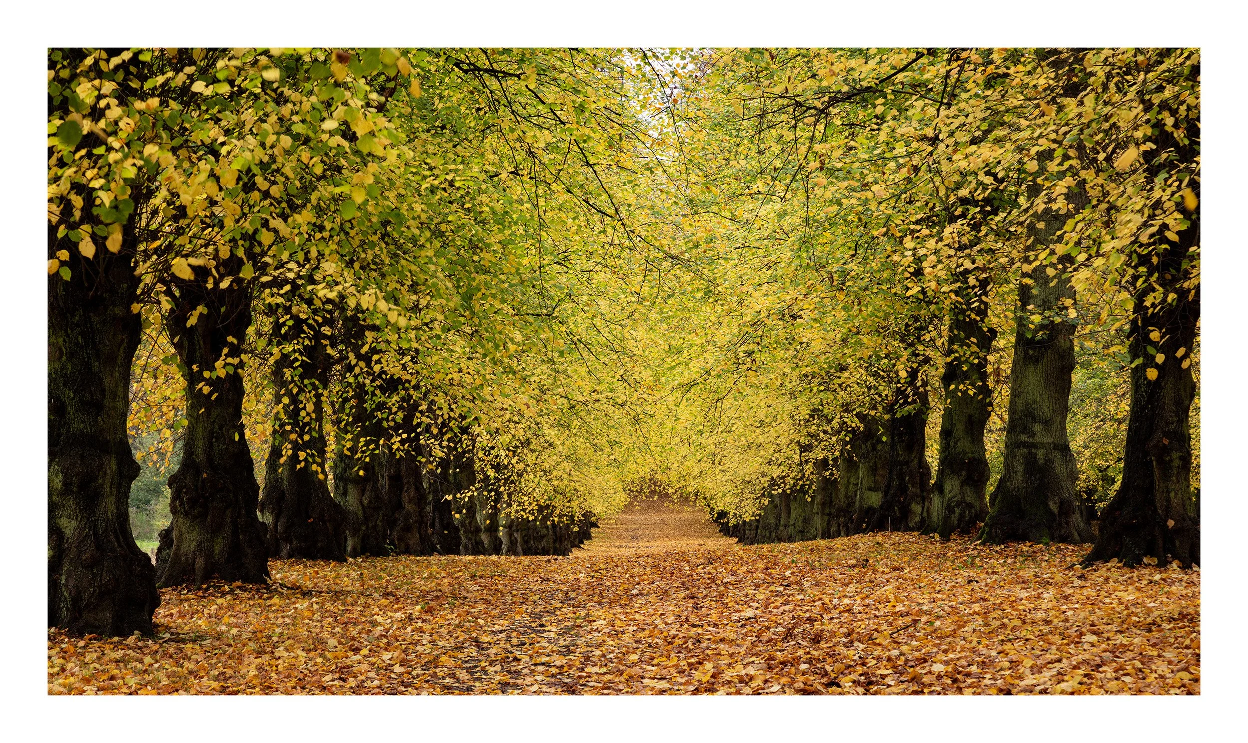 20221028_Clumber Park_14.jpg