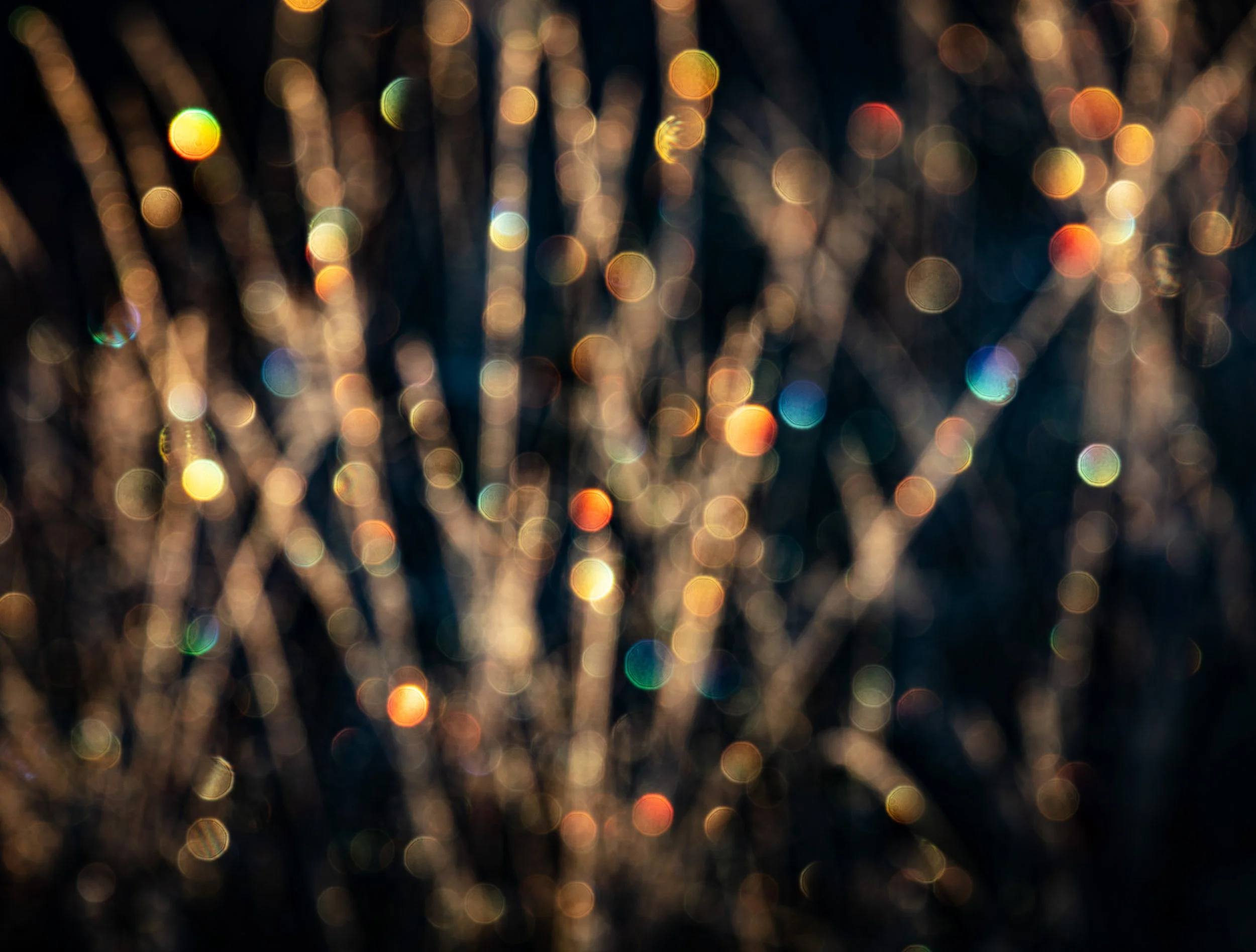 20221209_SFGC _79.jpg