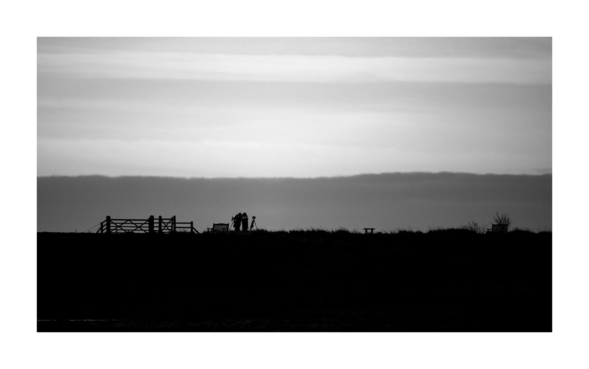 20230131_Frampton Sands_79.jpg