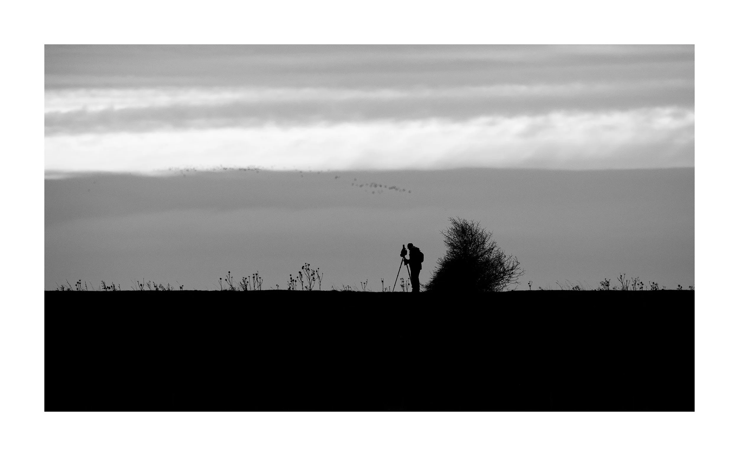 20230131_Frampton Sands_66.jpg