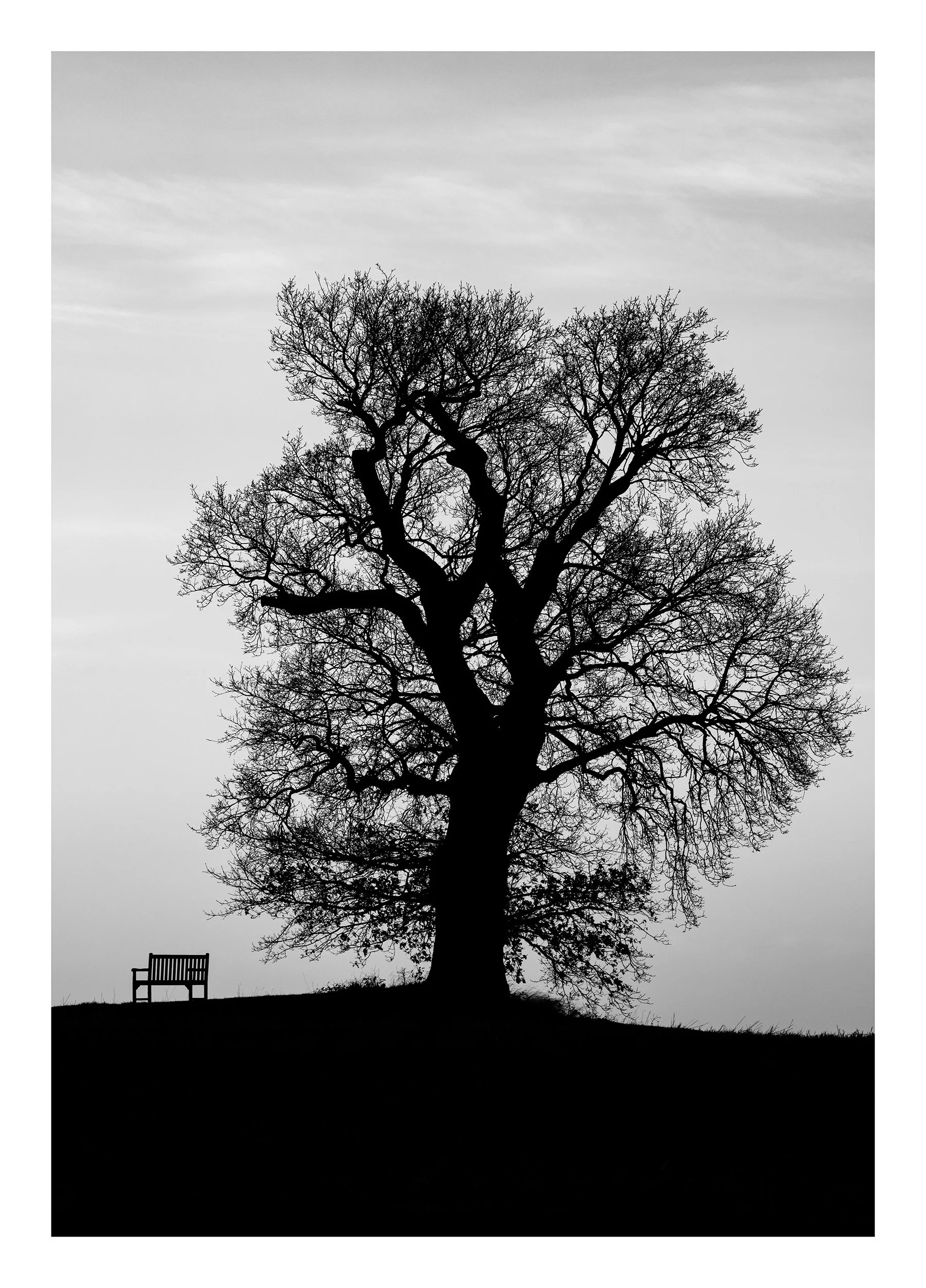 20230101_The Oxfordshire_3.jpg