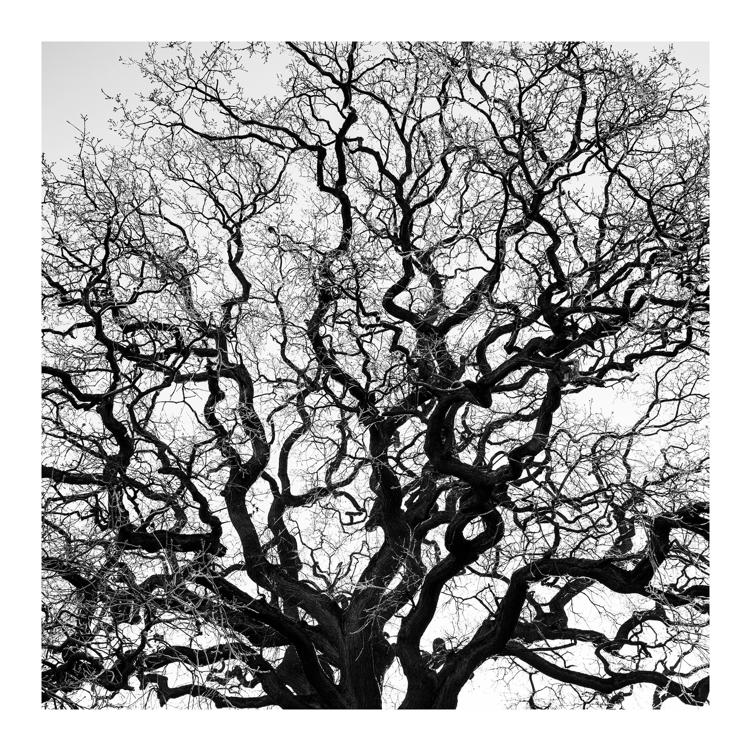 20230117_Clumber Park_4a.jpg