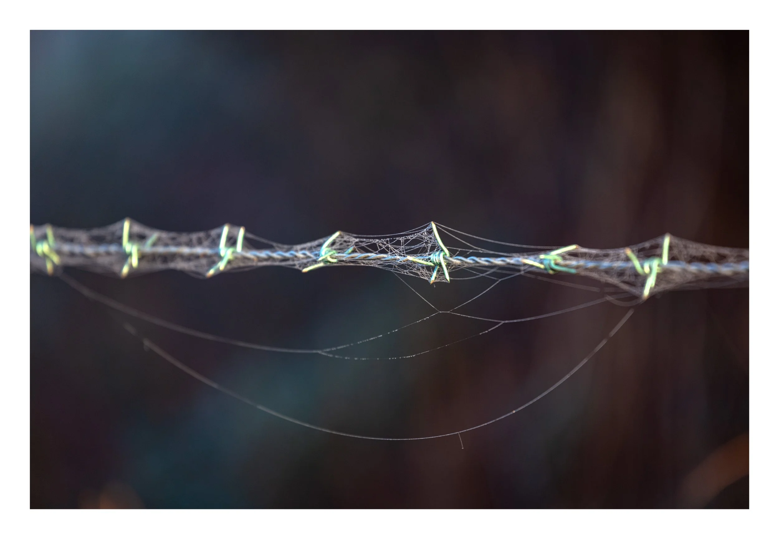 20181117_untitled shoot_222.jpg