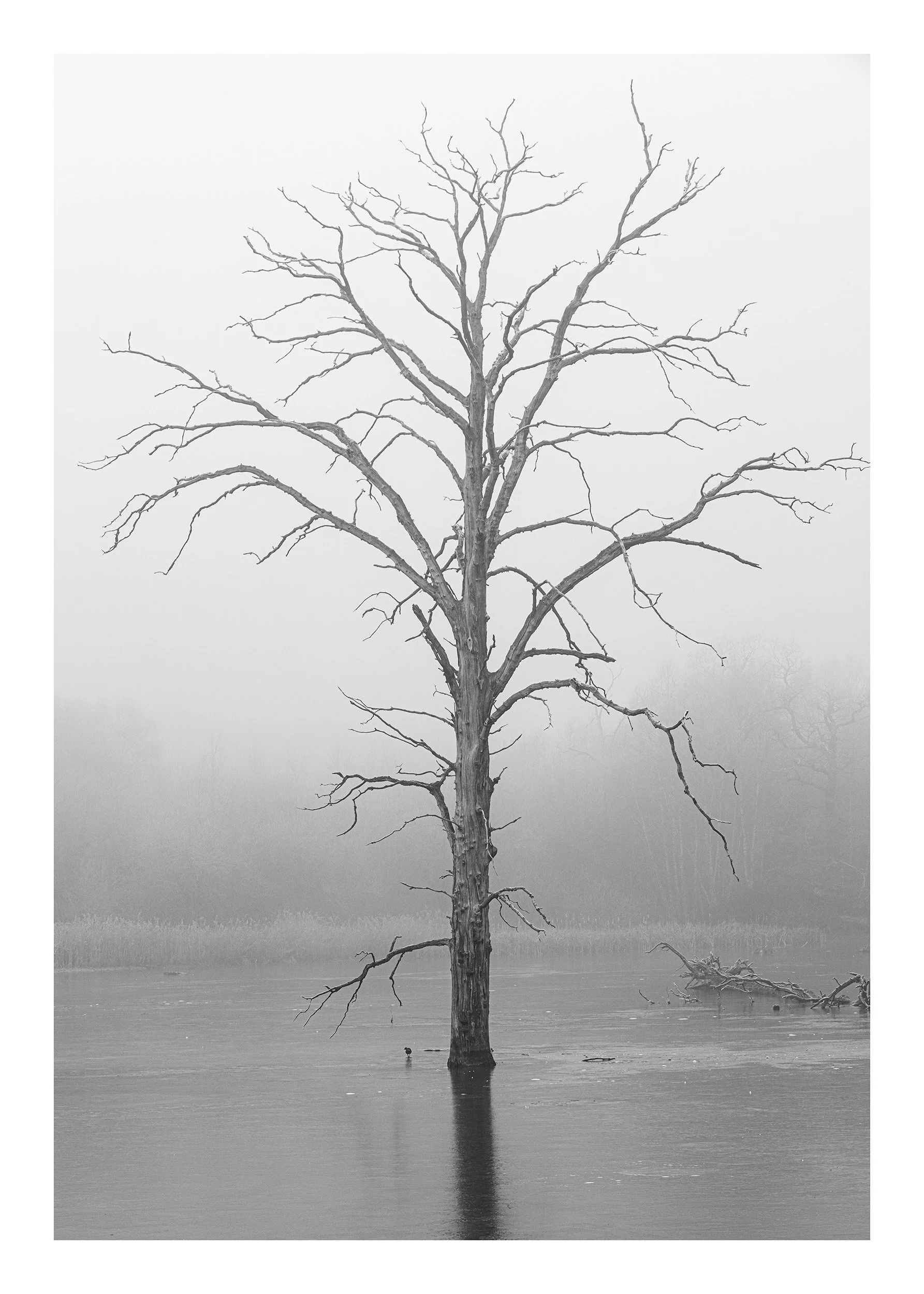 20190131_untitled shoot_374.jpg