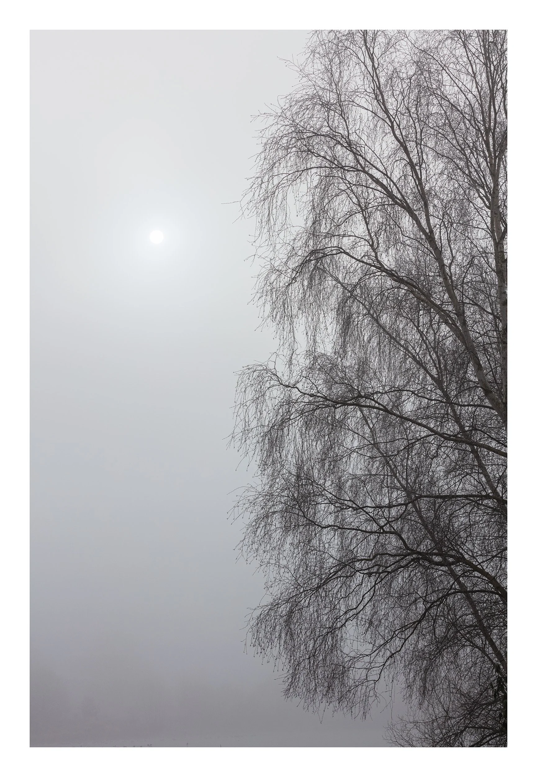 20190131_untitled shoot_373.jpg