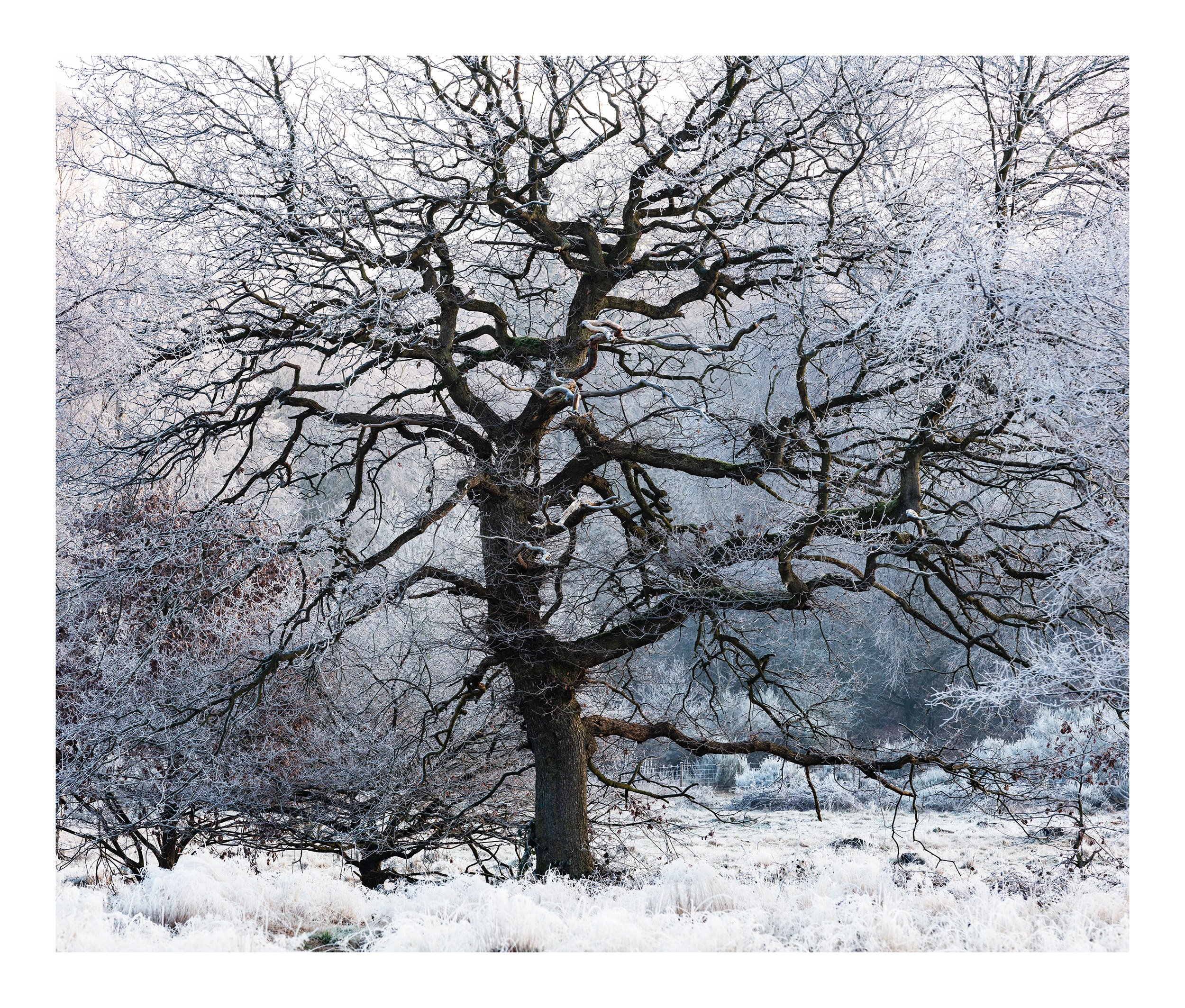 20190131_untitled shoot_335.jpg