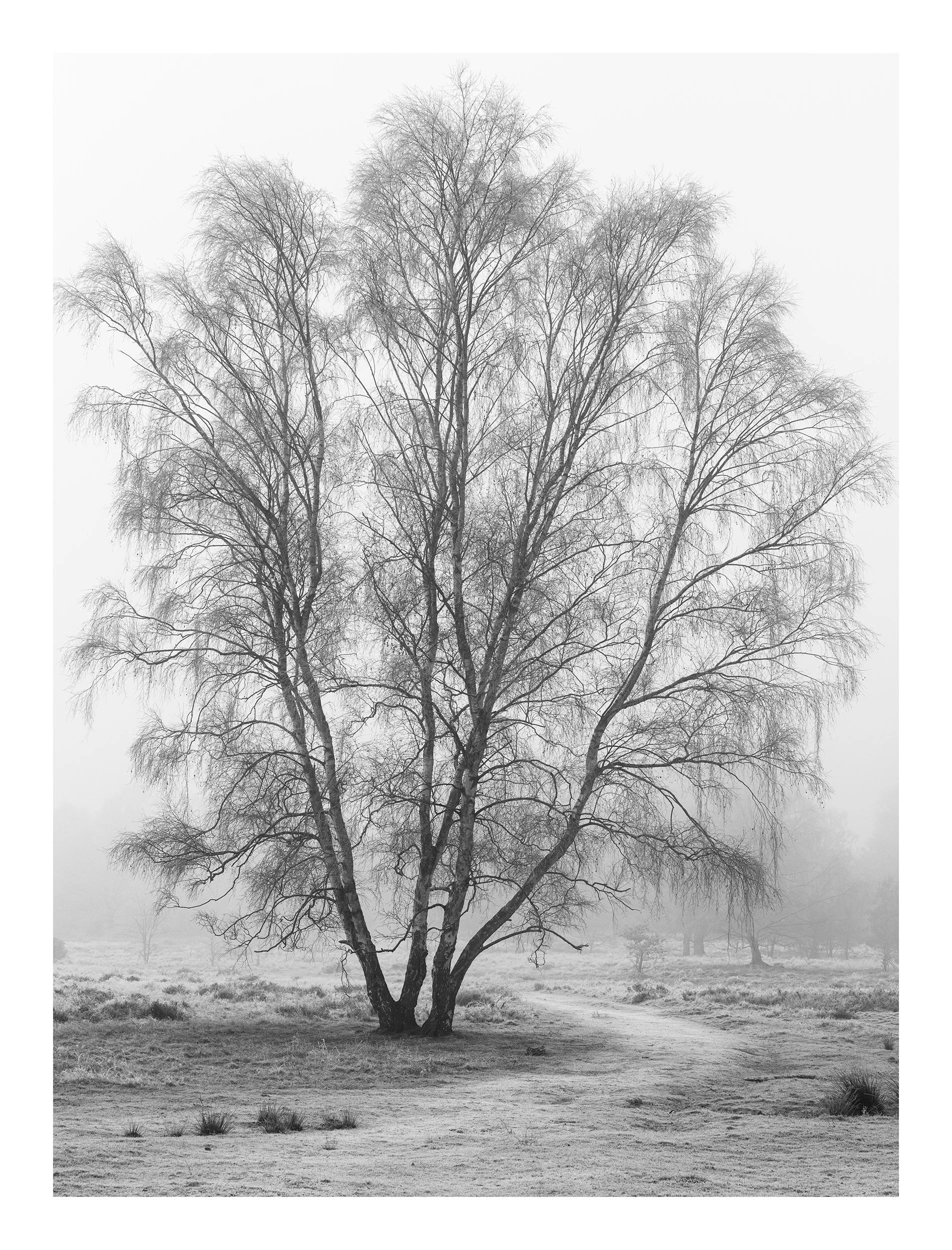 20190131_untitled shoot_348.jpg