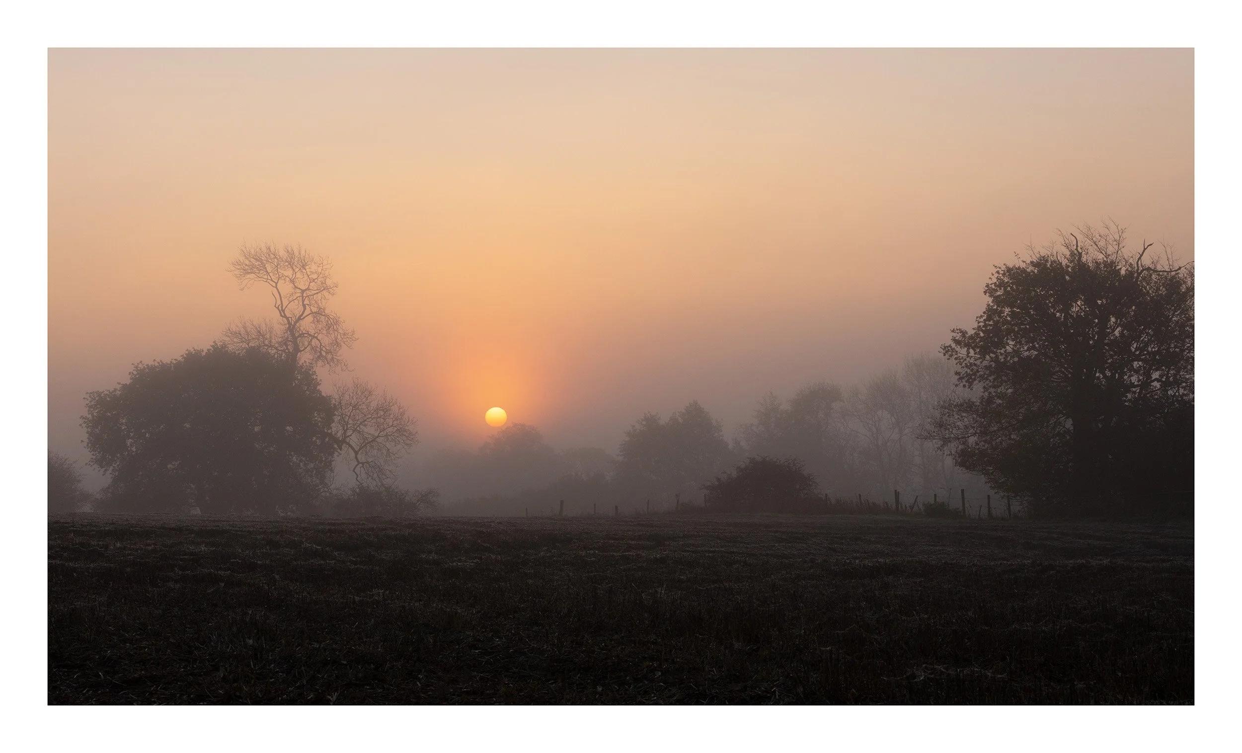 20181117_untitled shoot_204.jpg