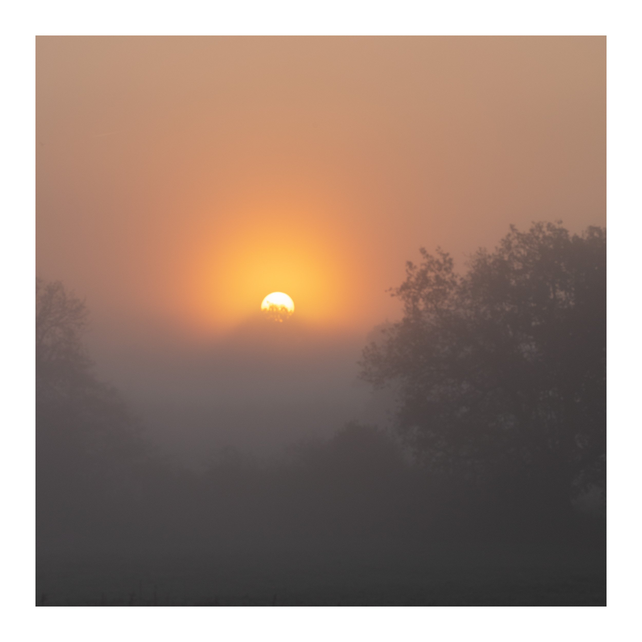 20181117_untitled shoot_205.jpg