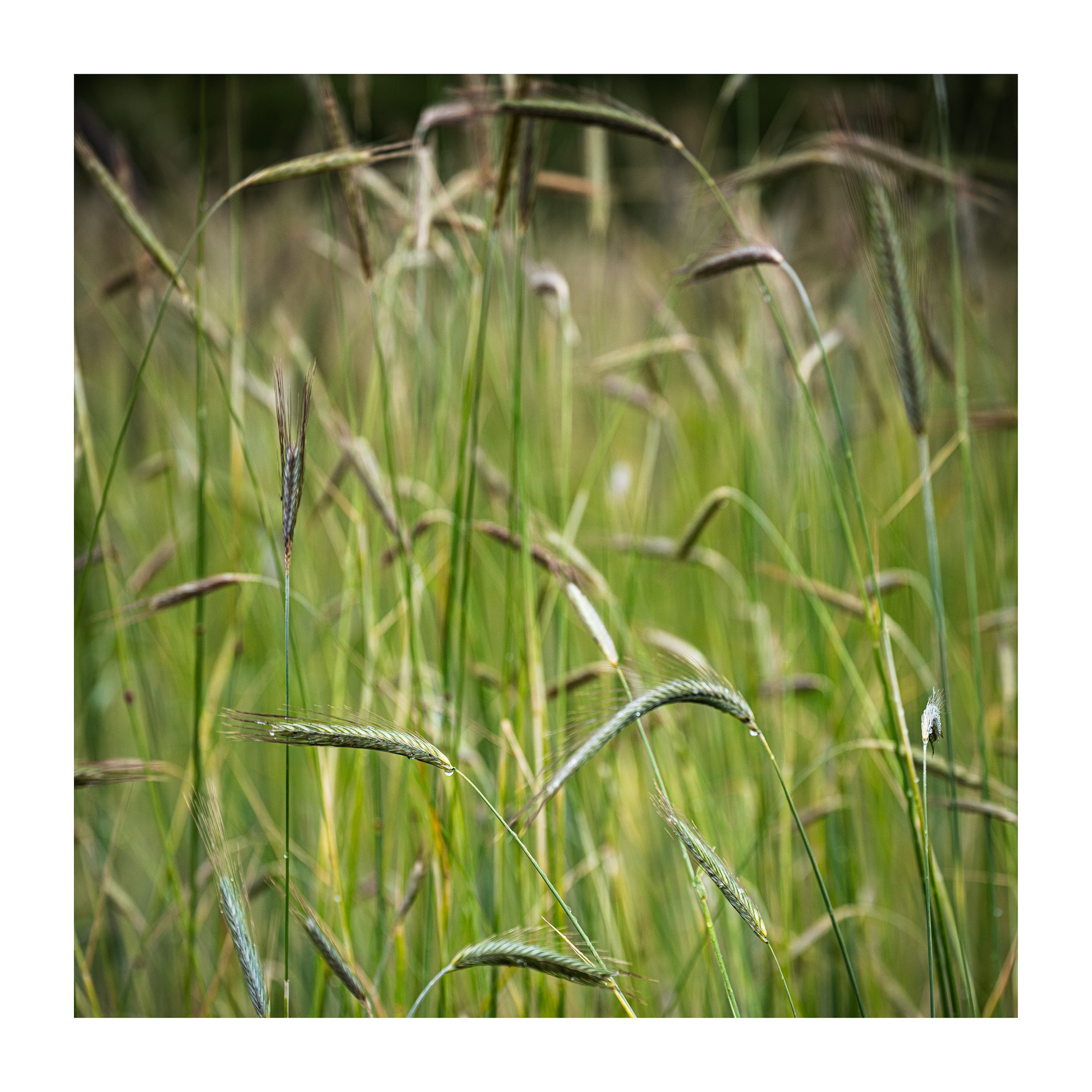 20200607_untitled shoot_9317.jpg