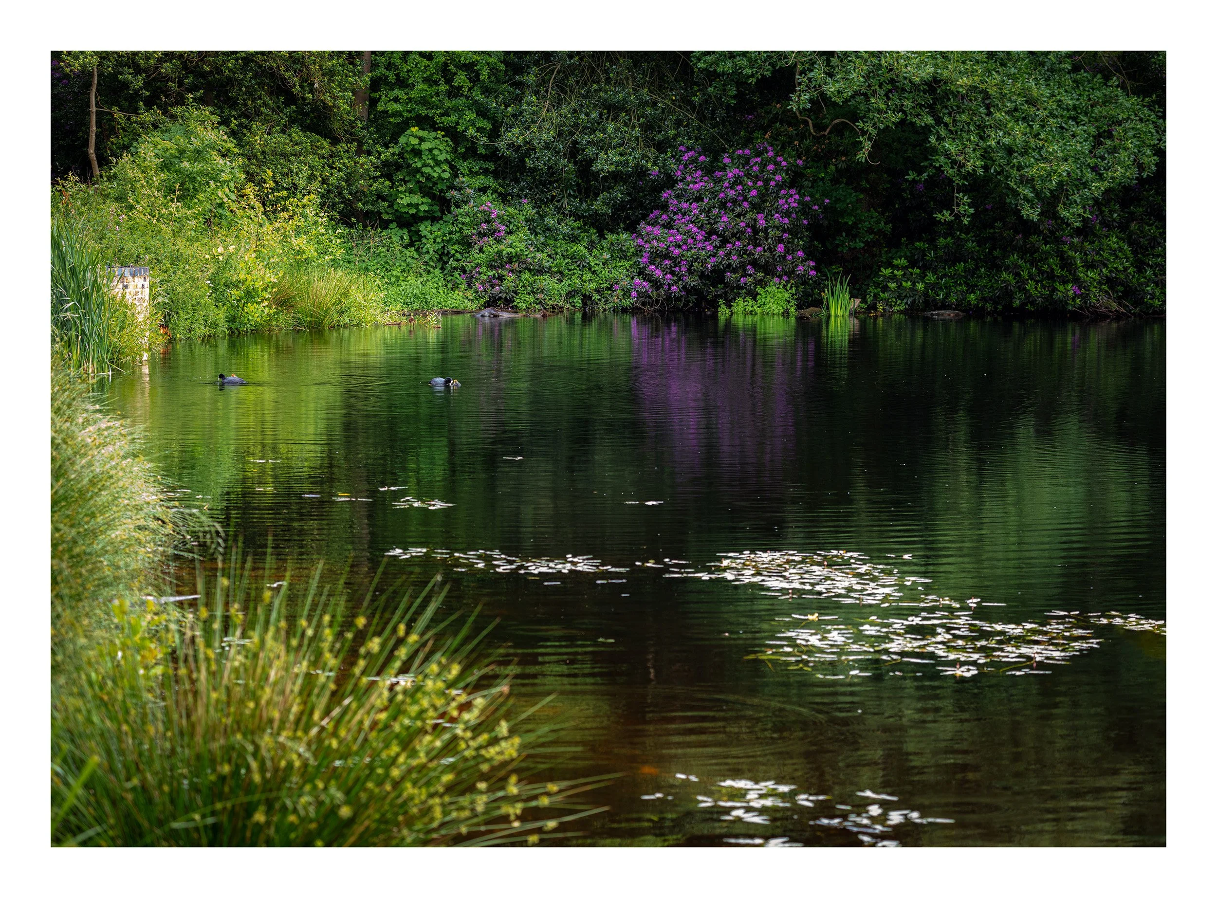 20200607_untitled shoot_9564.jpg