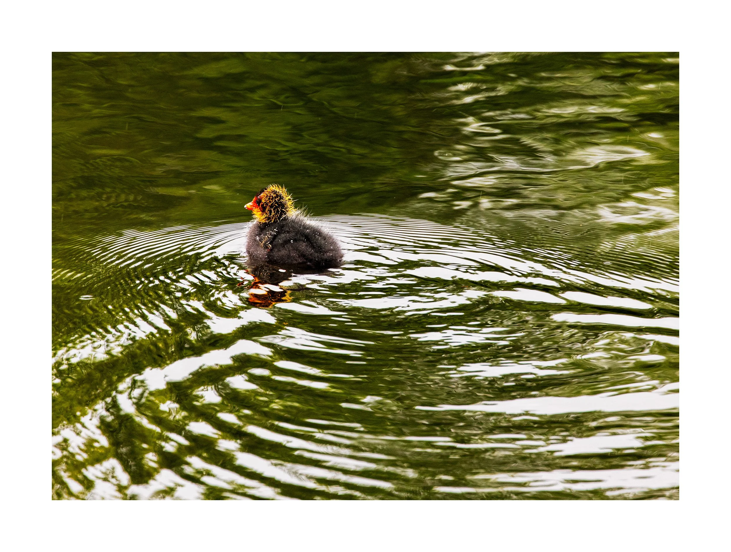 20200607_untitled shoot_9738.jpg