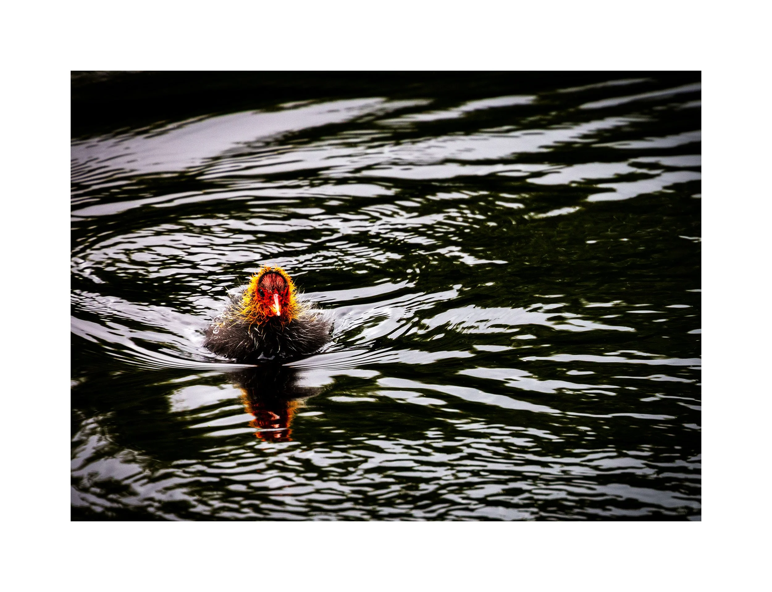 20200607_untitled shoot_9503.jpg