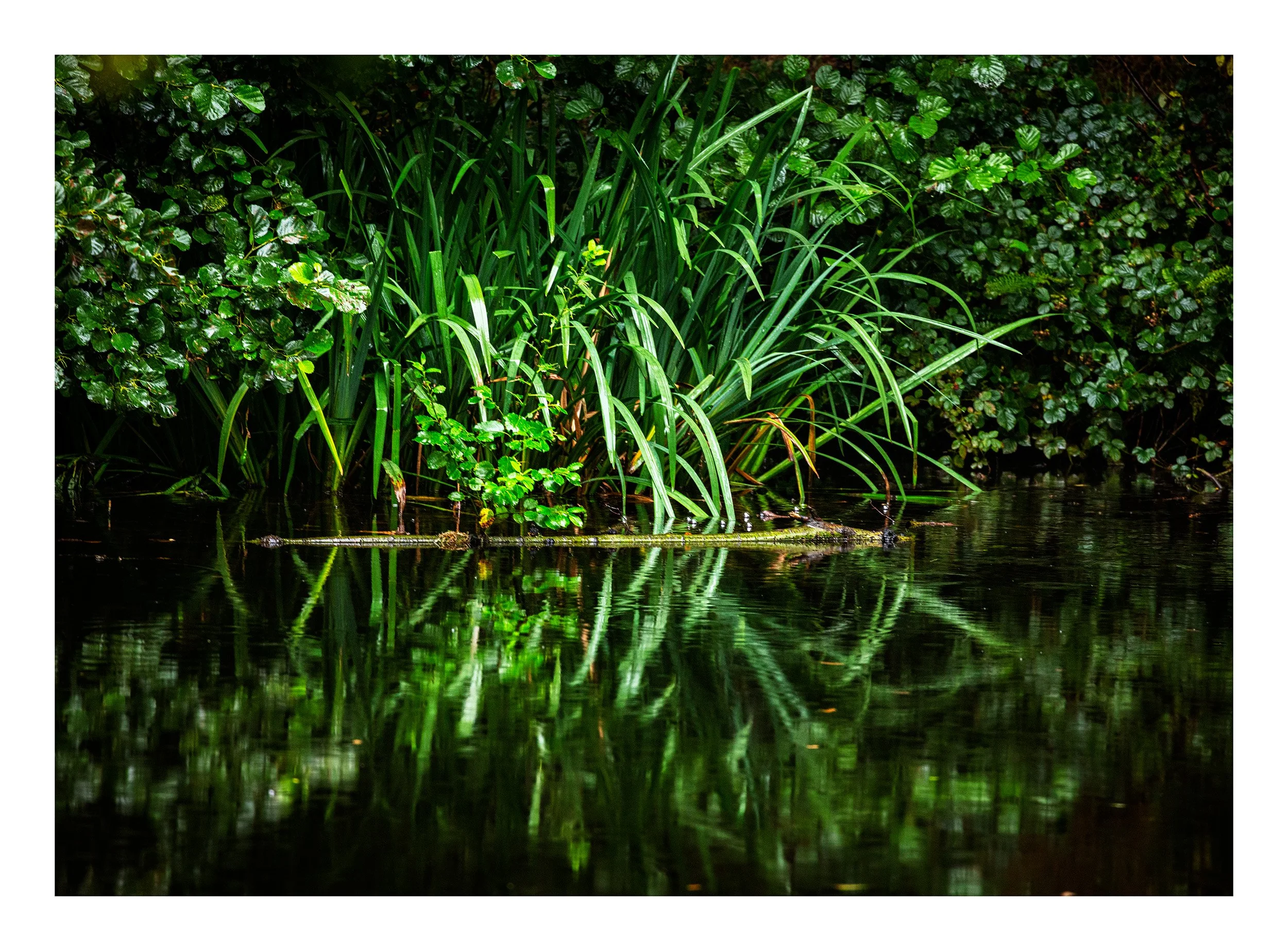 20200816_untitled shoot_19693.jpg