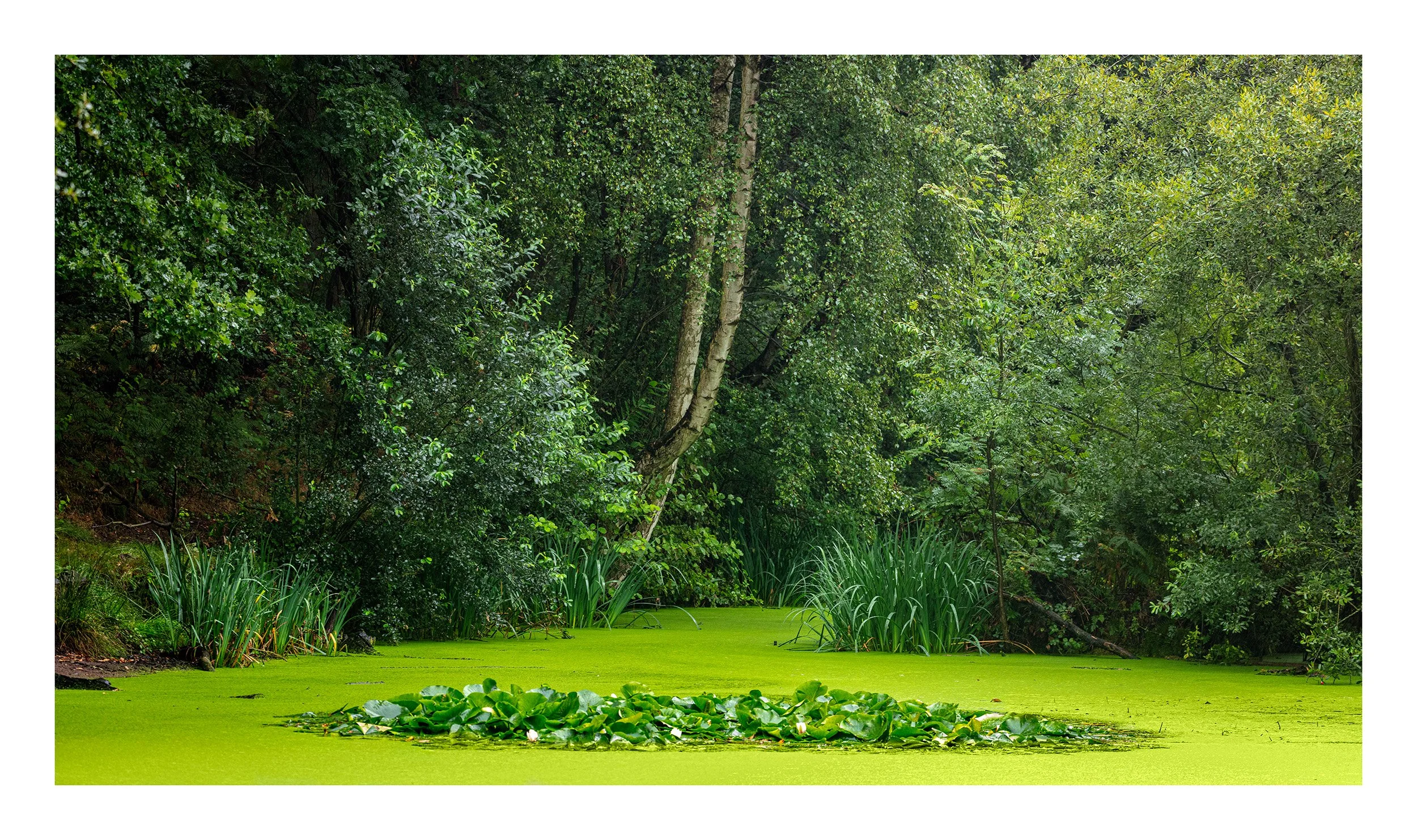 20200816_untitled shoot_19659.jpg