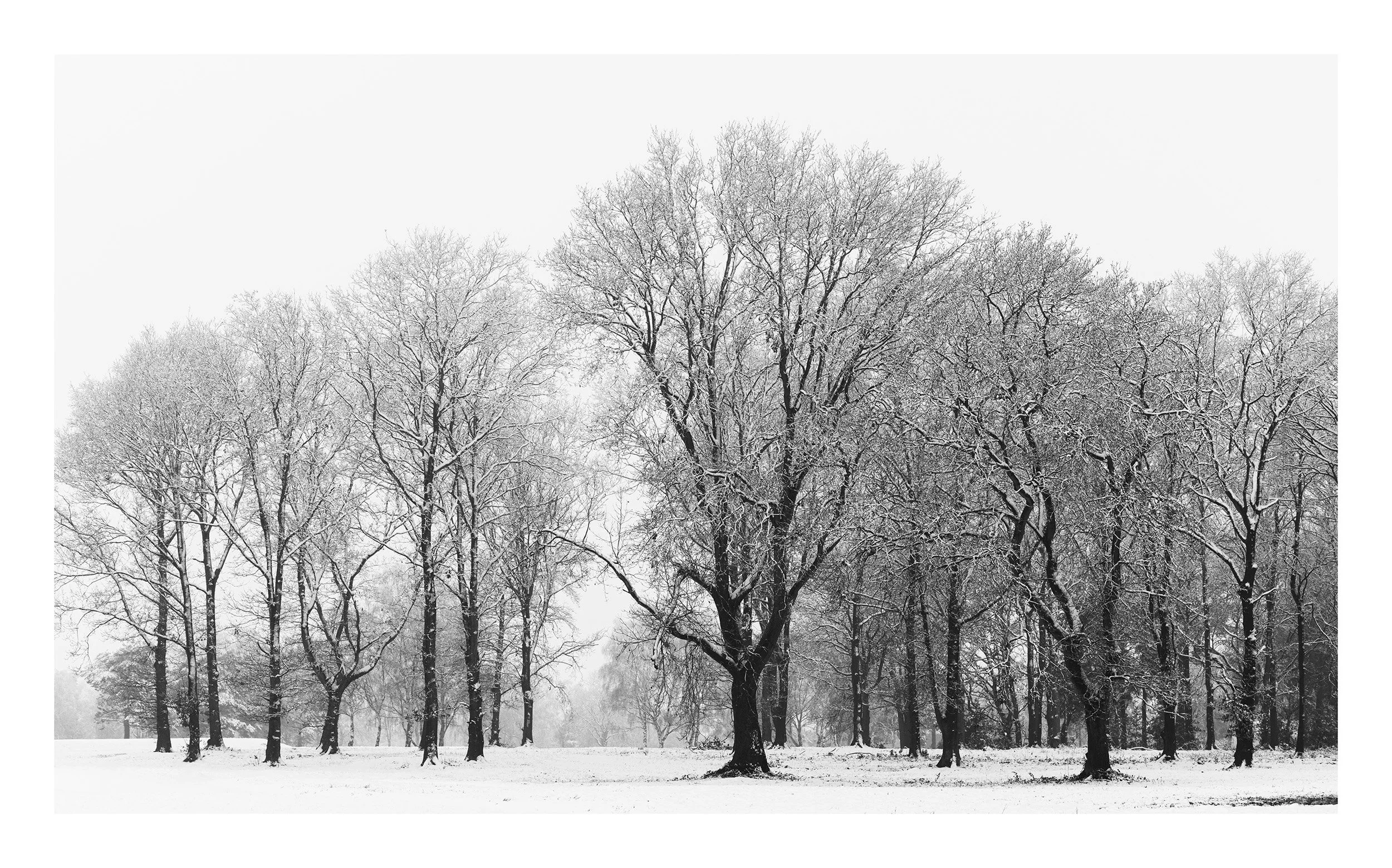 20210115_untitled shoot_9232.jpg