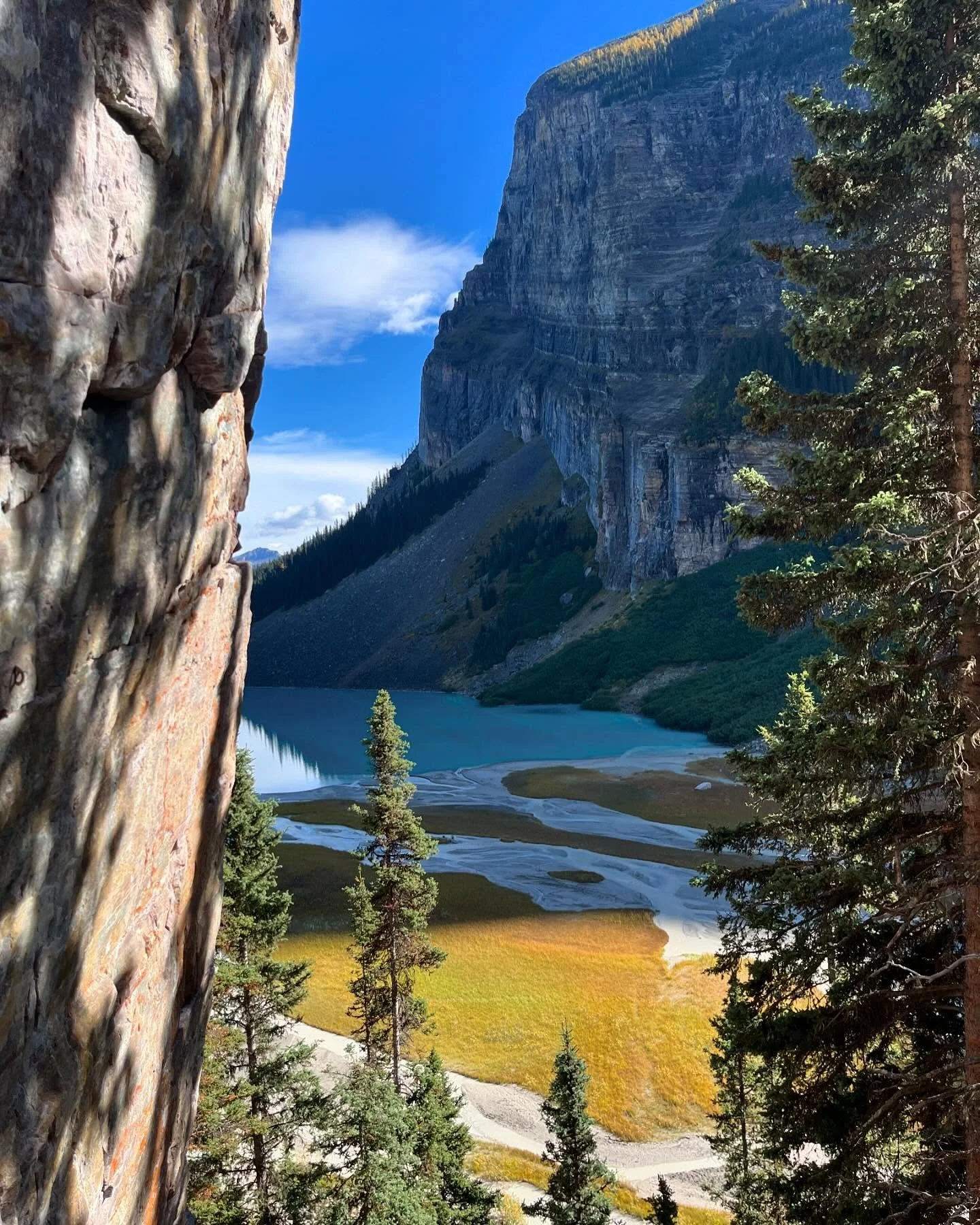 It&rsquo;s that very special time of year again where the larches start to turn their fall colours on. Exceptional views while climbing today. 😄

Territories of Treaty 7, signed in 1877, traditional territory
of:
- The Blackfoot Confederacy
- Kainai