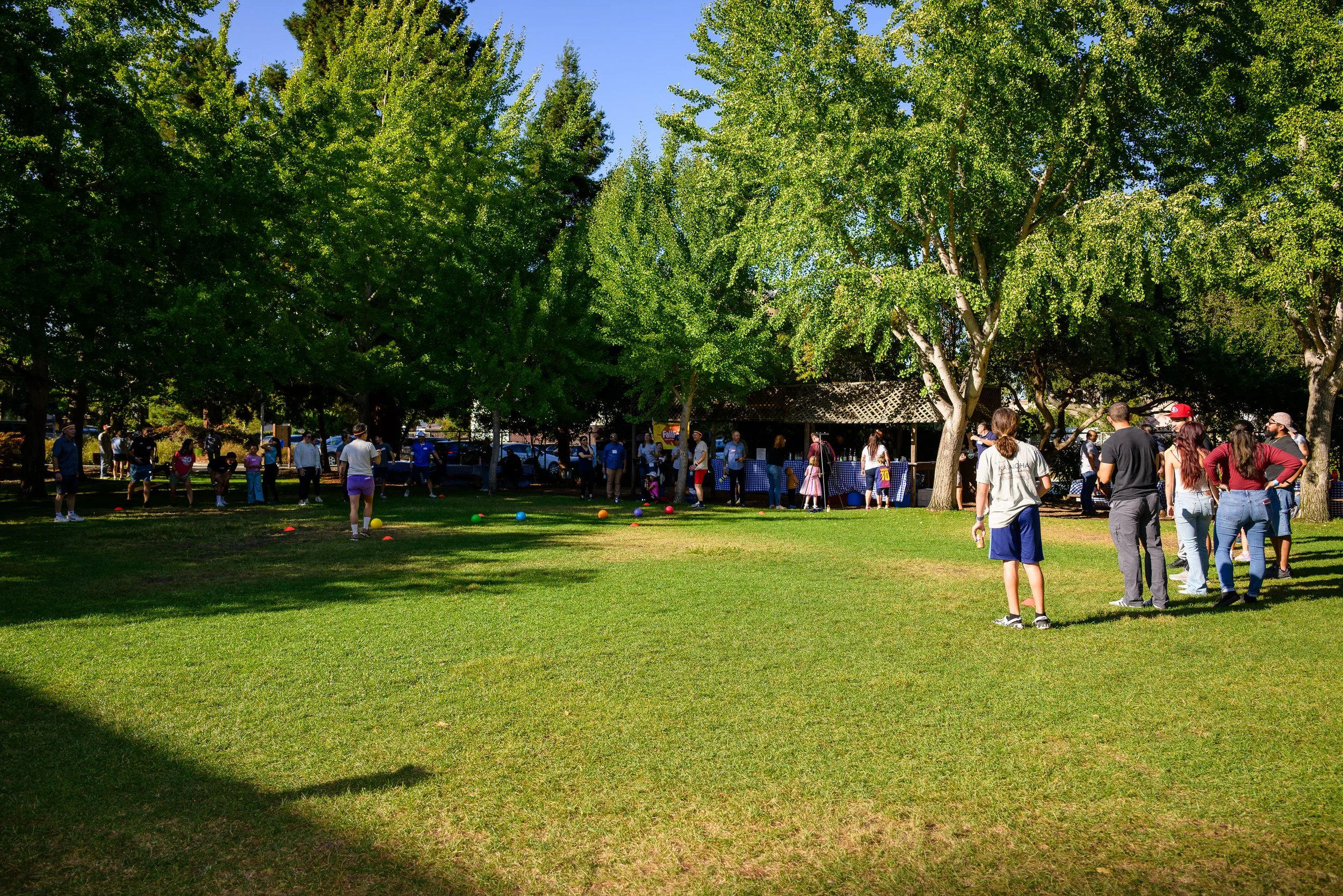 LegalAidSMC-FallFest-2025-200.jpg