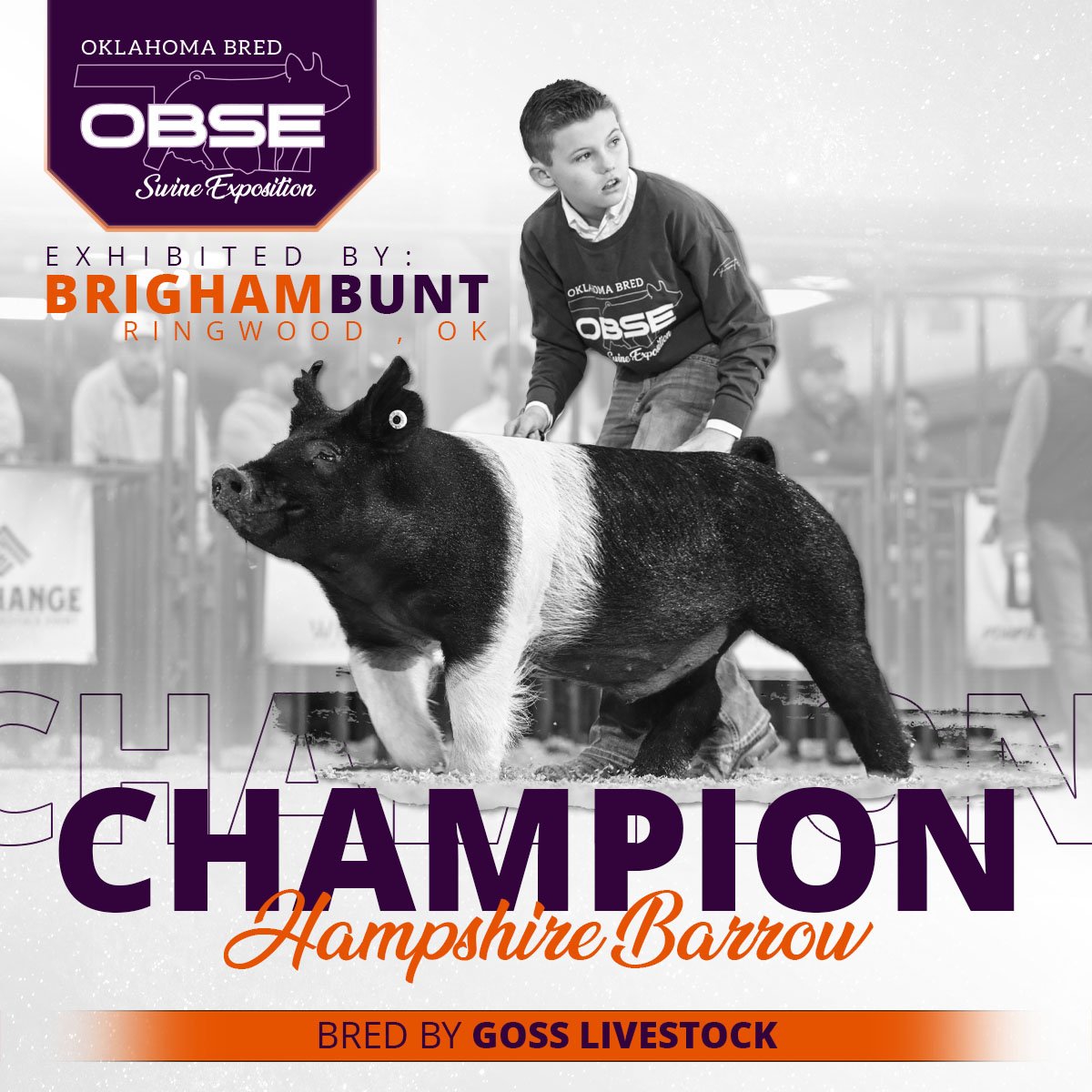 OBSE23_ChampionHamp.jpg