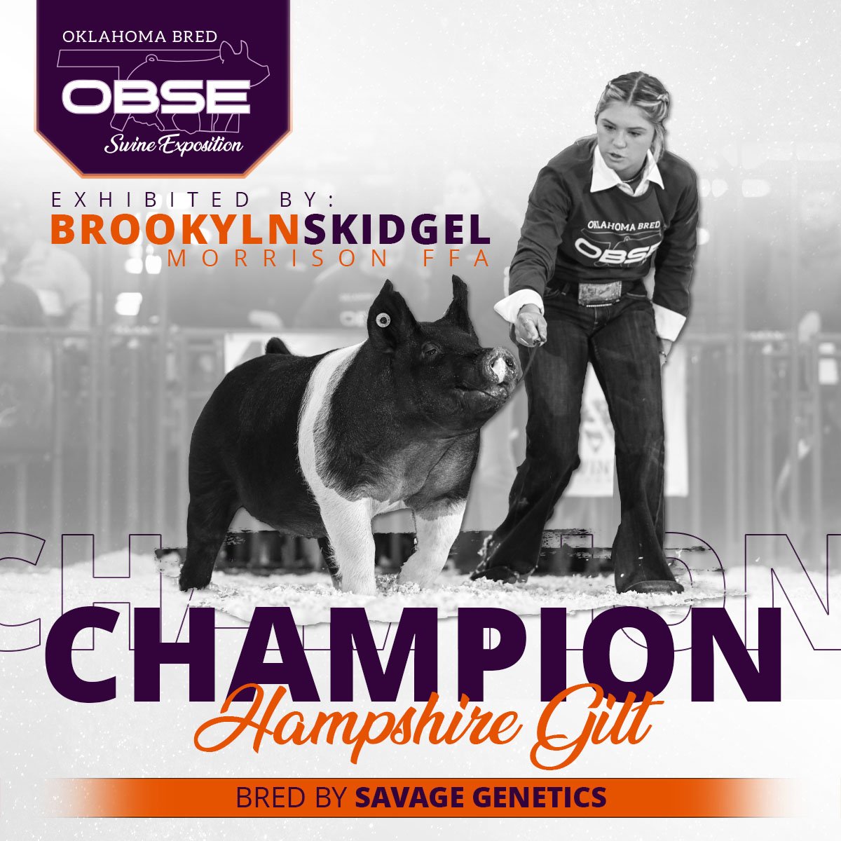 OBSE23_ChampionHampshire.jpg