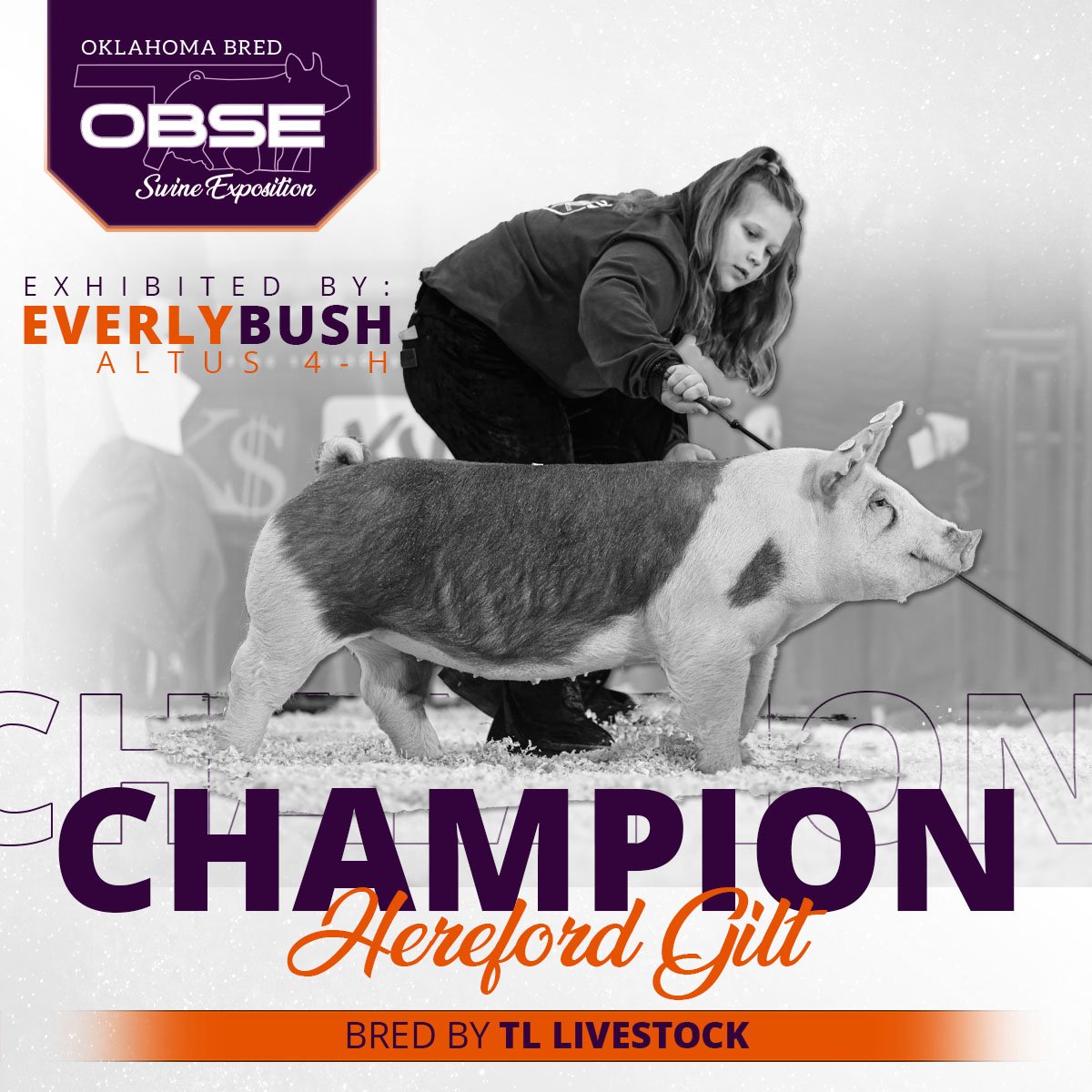 OBSE23_ChampionHereford.jpg
